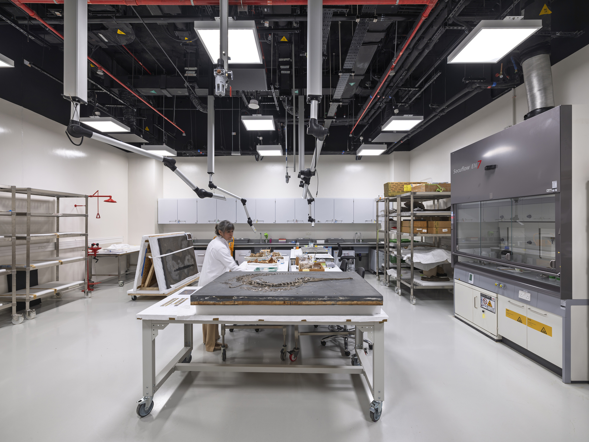 Fossil preparation laboratory with a technician at a central table, articulated extraction arms and a fume cabinet under bright ceiling panels
