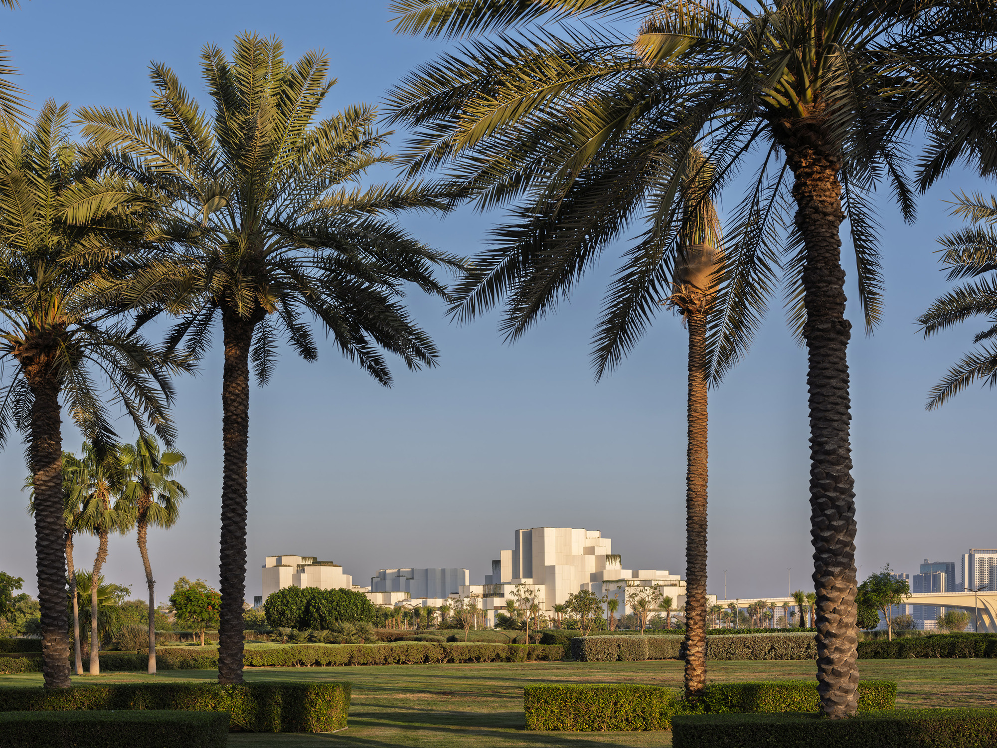 Date palms and clipped hedges in the foreground, with the white stepped building volumes distant across the lawn in low golden light