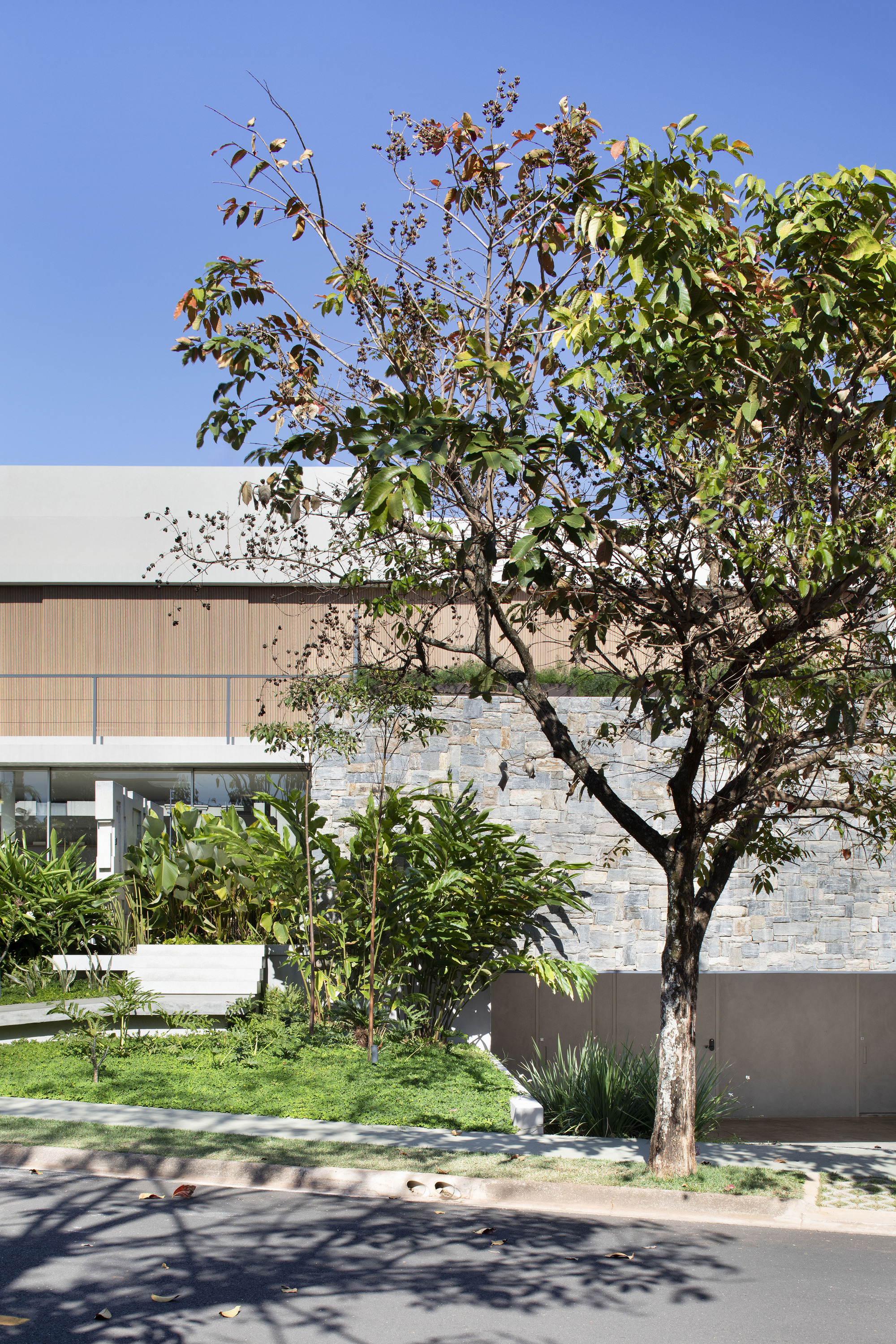 Street tree with autumn-colored leaves in front of the grey stone wall, planted bed and timber-banded upper floor