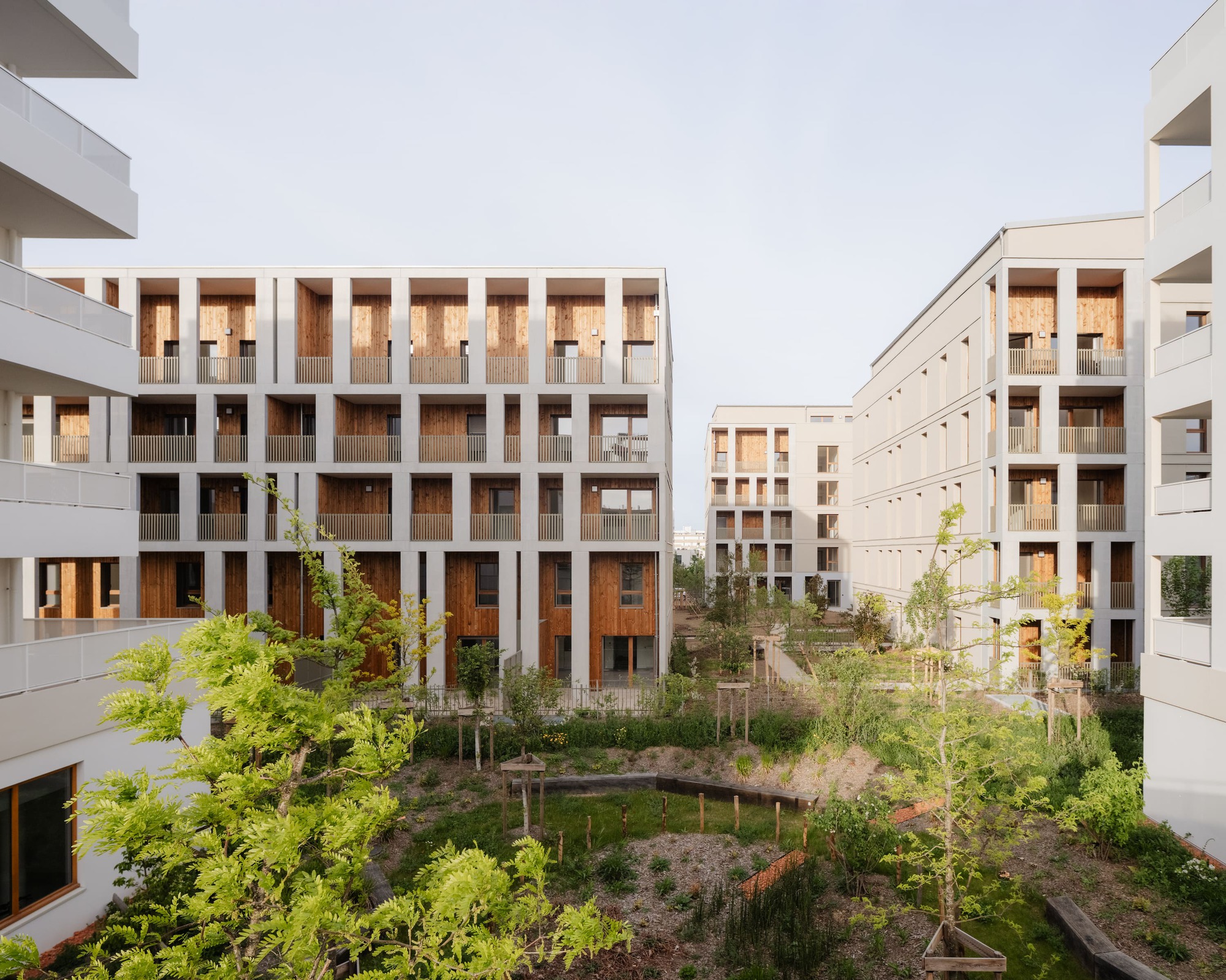Courtyard view of pale concrete apartment blocks with timber-lined loggias above a planted garden and young trees in soft morning light