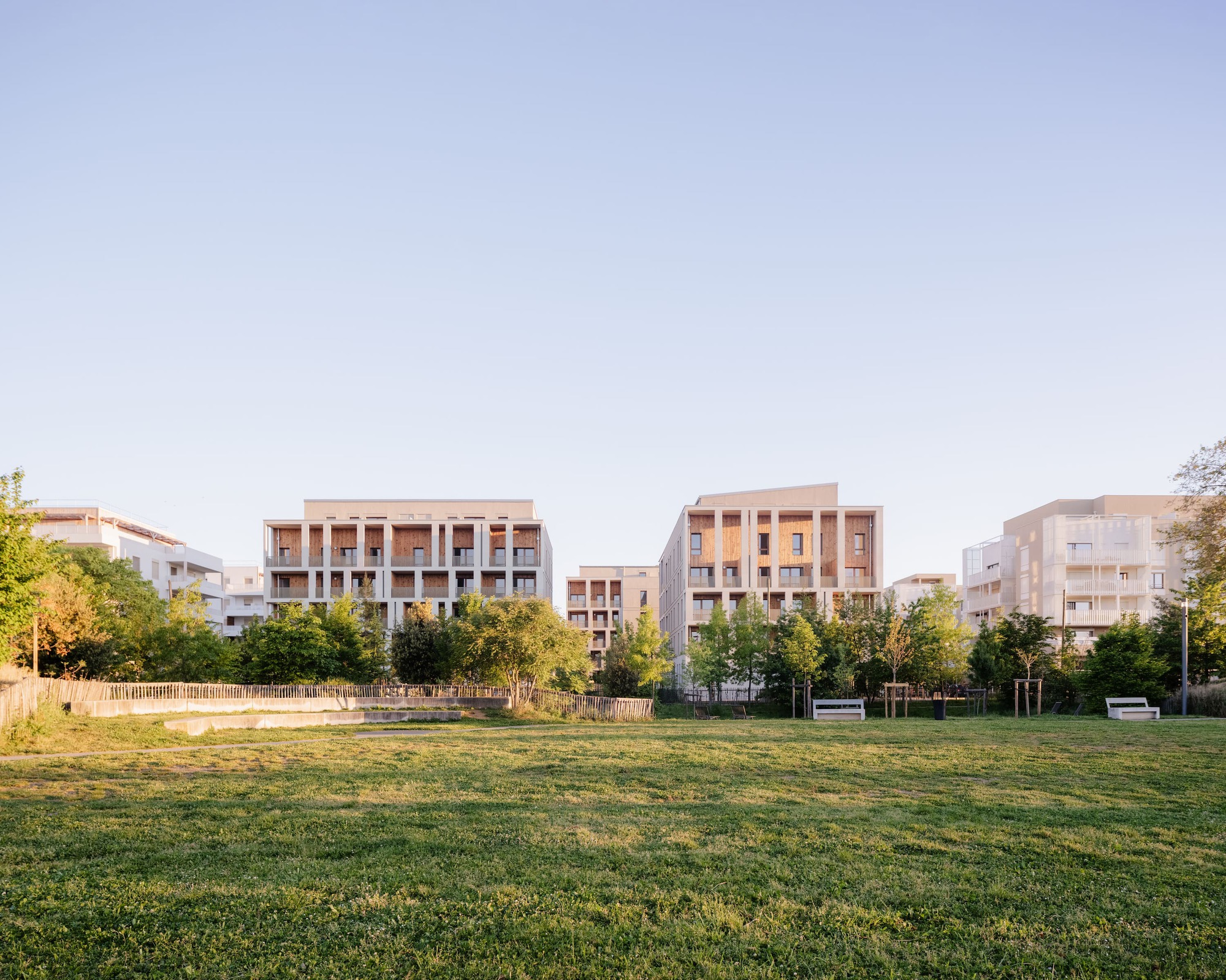 Row of apartment buildings with timber-clad loggias seen across a mown lawn at low evening sun, with benches under the trees