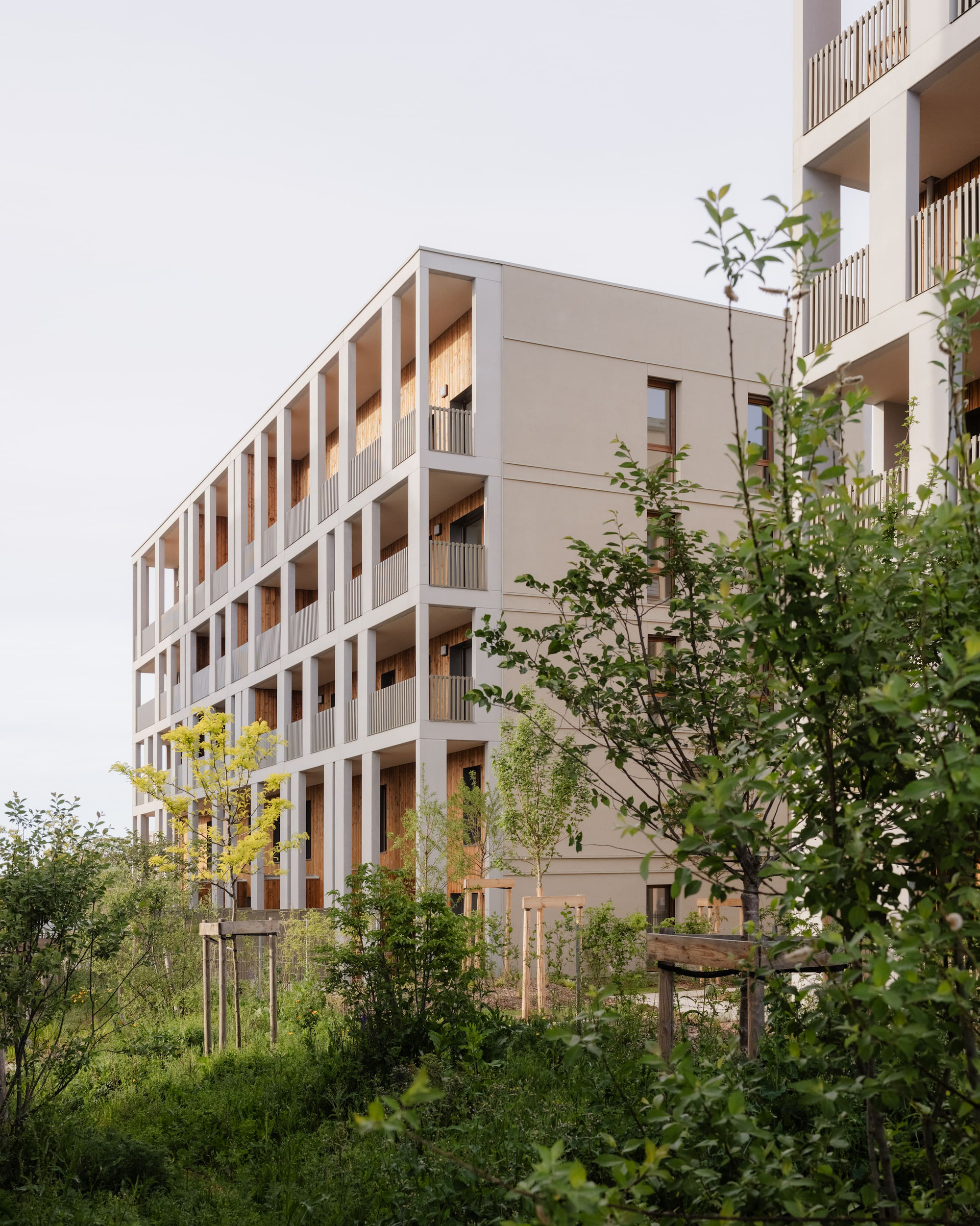Corner of a five-storey block with concrete frame and recessed timber balconies, seen through young trees and wild planting