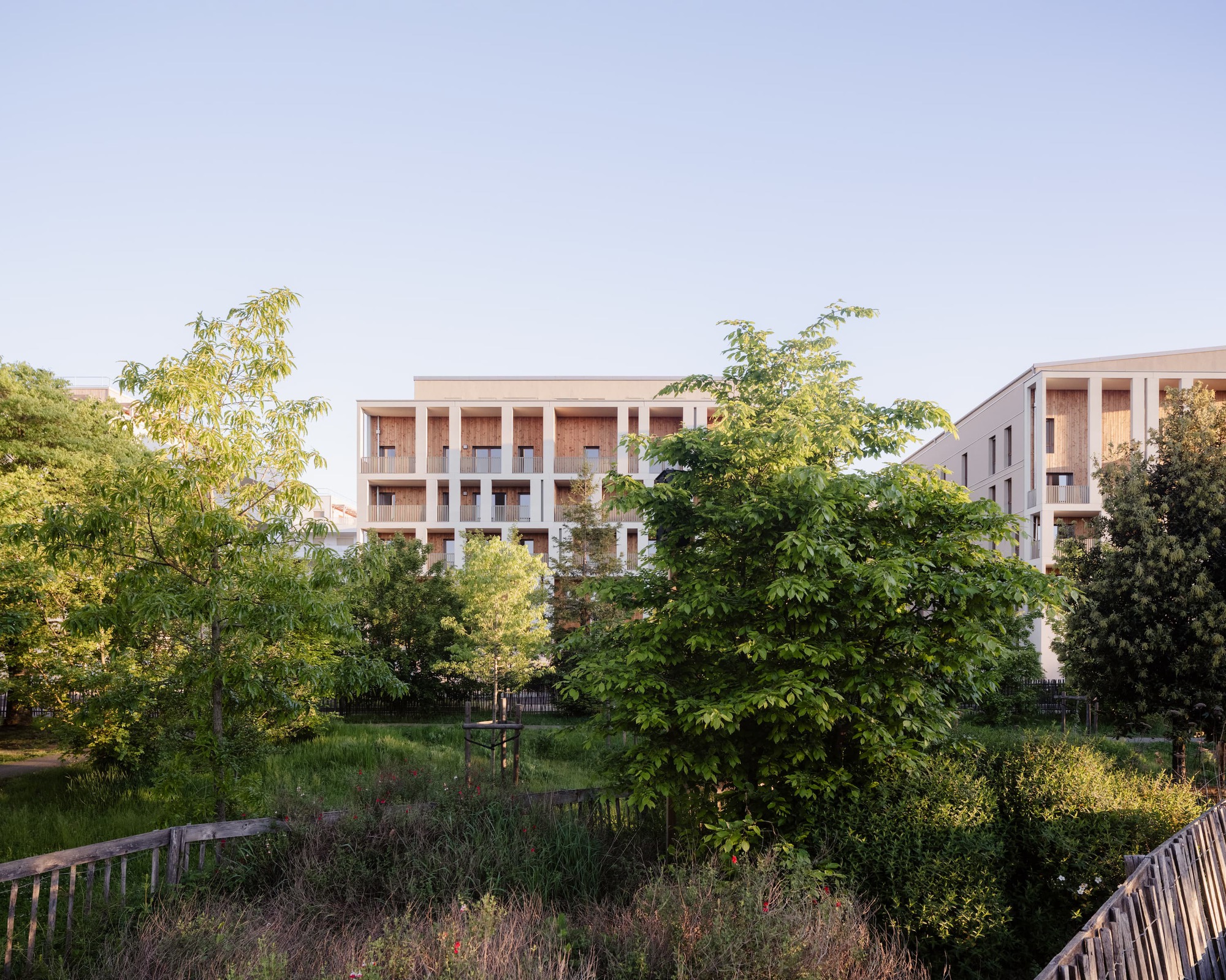 Mid-rise block with timber-clad loggias and pale concrete frame seen over a meadow and leafy trees in evening light