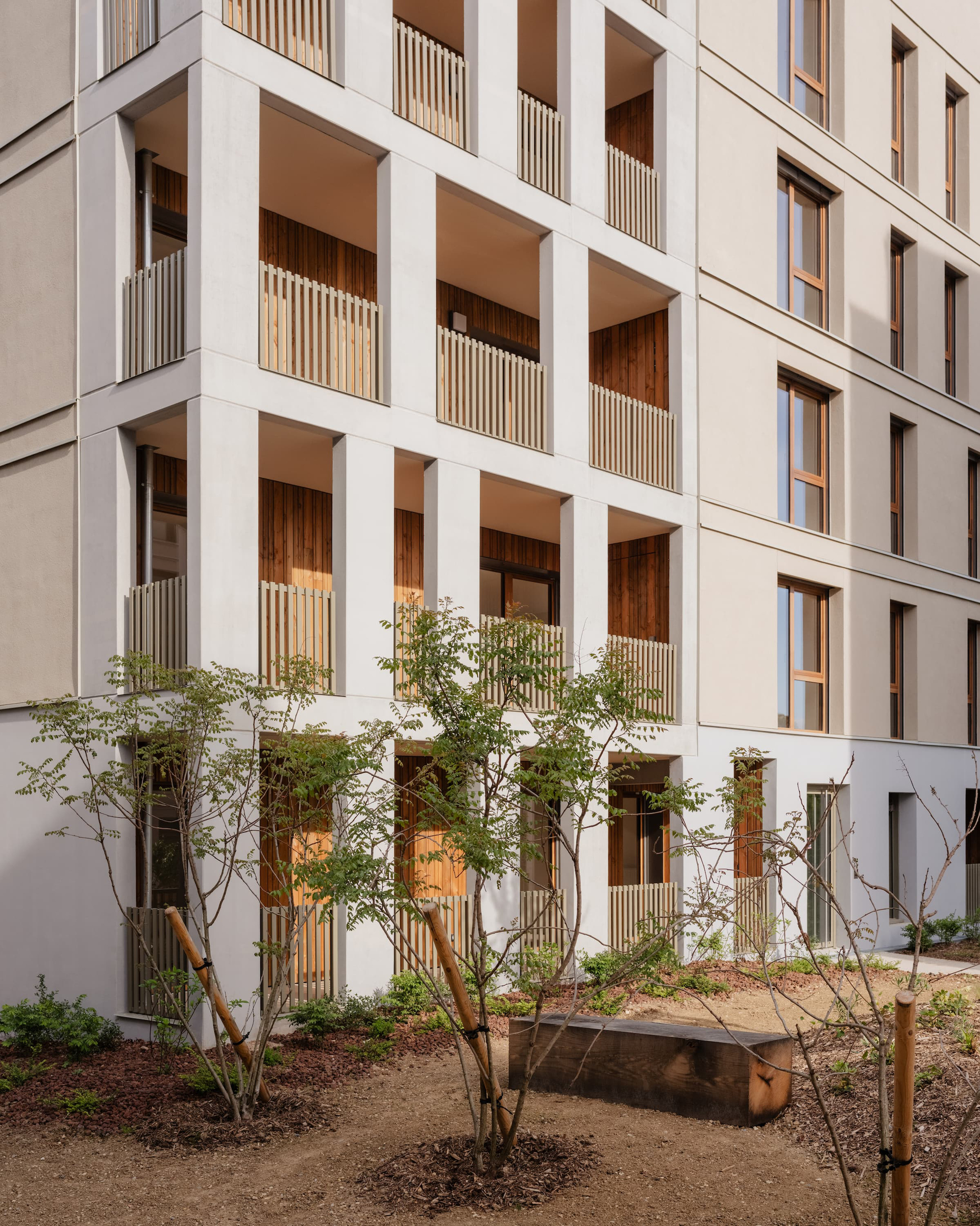 Courtyard corner of the apartment block with framed timber balconies, young trees and a wooden bench on mulched ground
