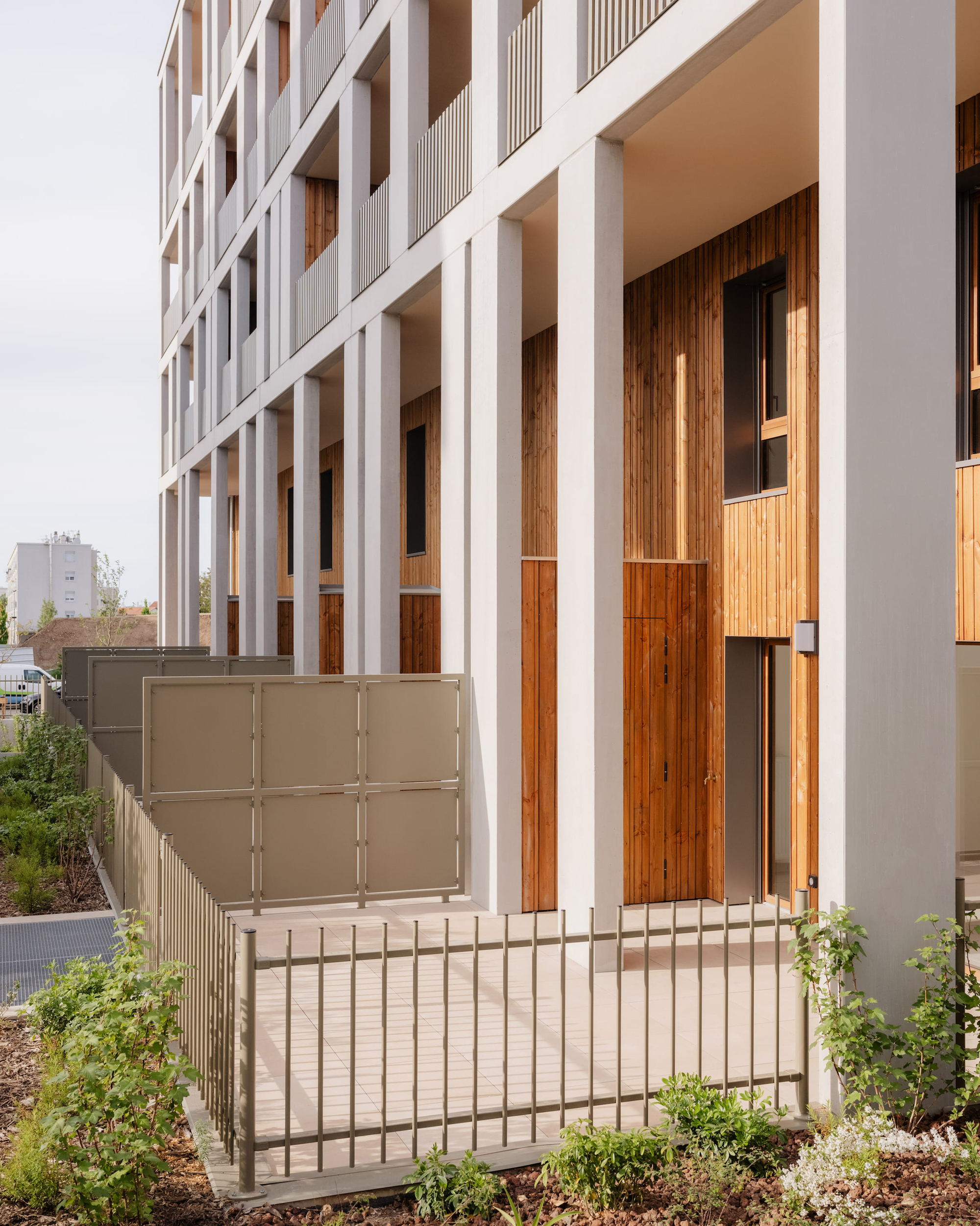 Ground-floor terraces behind a low metal fence and screen panels, with concrete columns and timber cladding above young planting