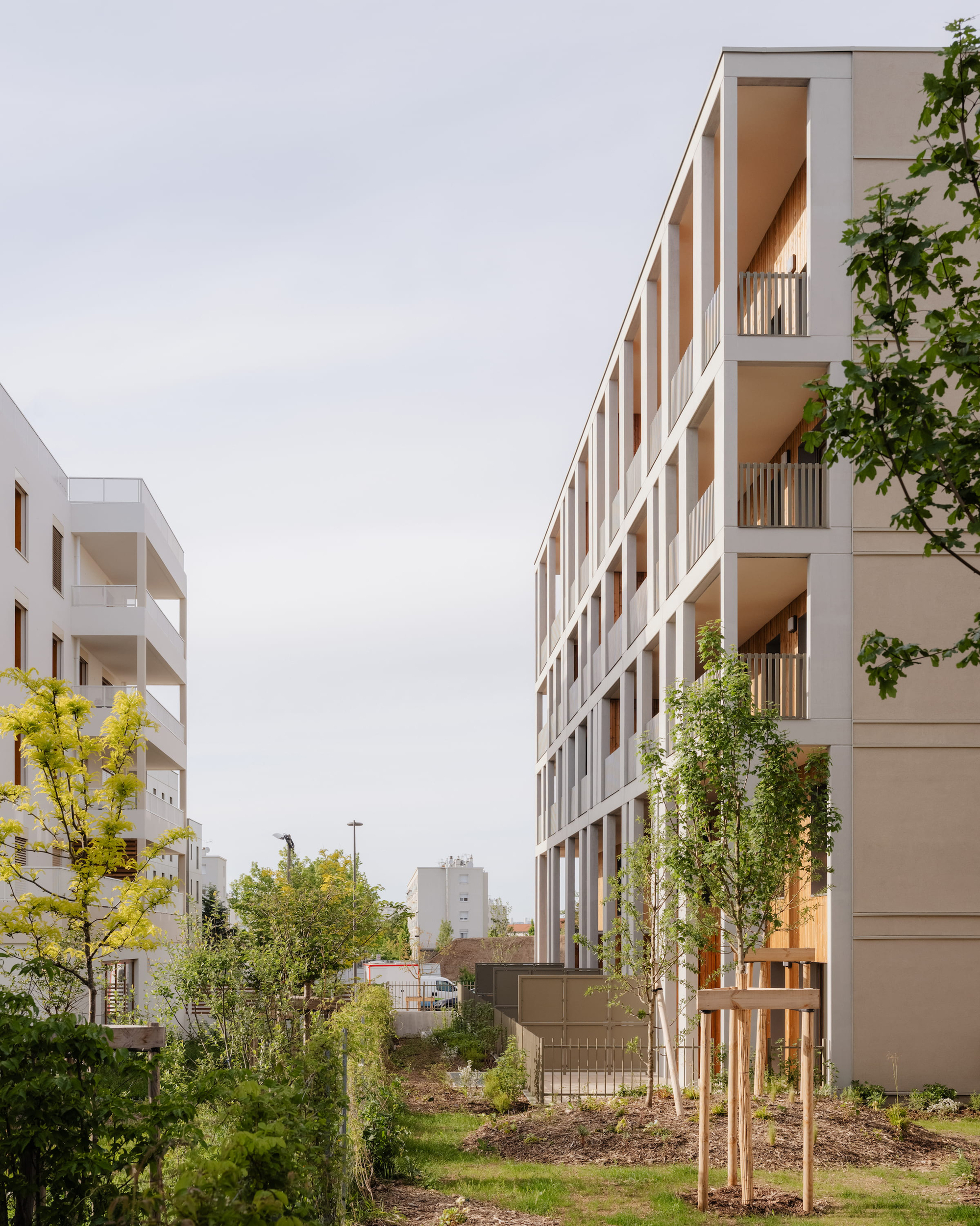Side elevation of a pale concrete block with recessed timber-lined balconies, young staked trees in the foreground under an overcast sky