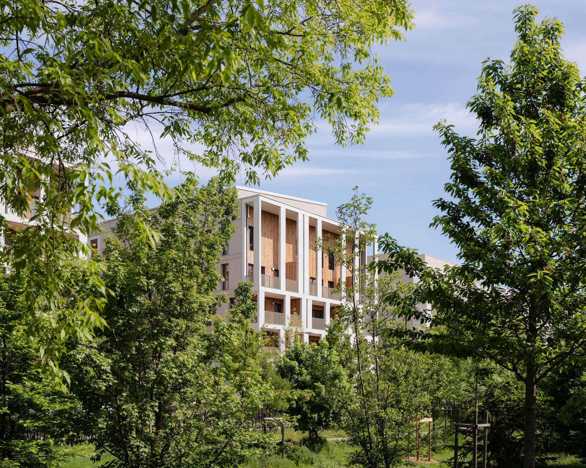 Housing block with white columns and timber panels glimpsed through leafy tree branches under a blue sky with thin clouds