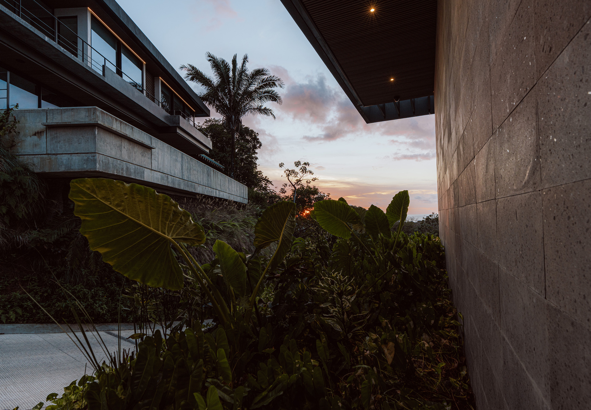 Textured stone wall and board-formed concrete balcony edge framing a palm and broad-leaved plants at dusk