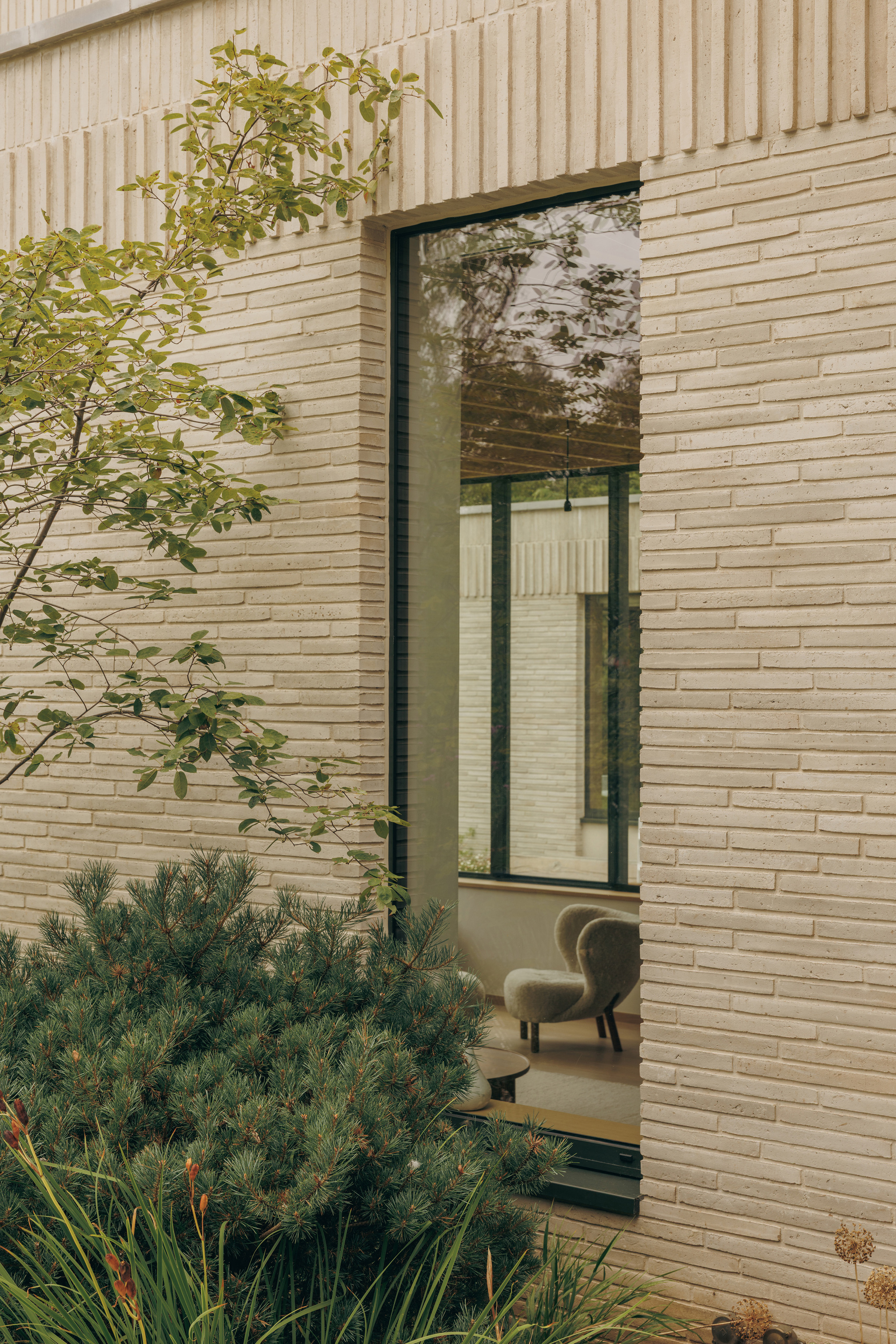Tall window set in a pale long-format brick wall, with an armchair visible inside and a pine shrub in front