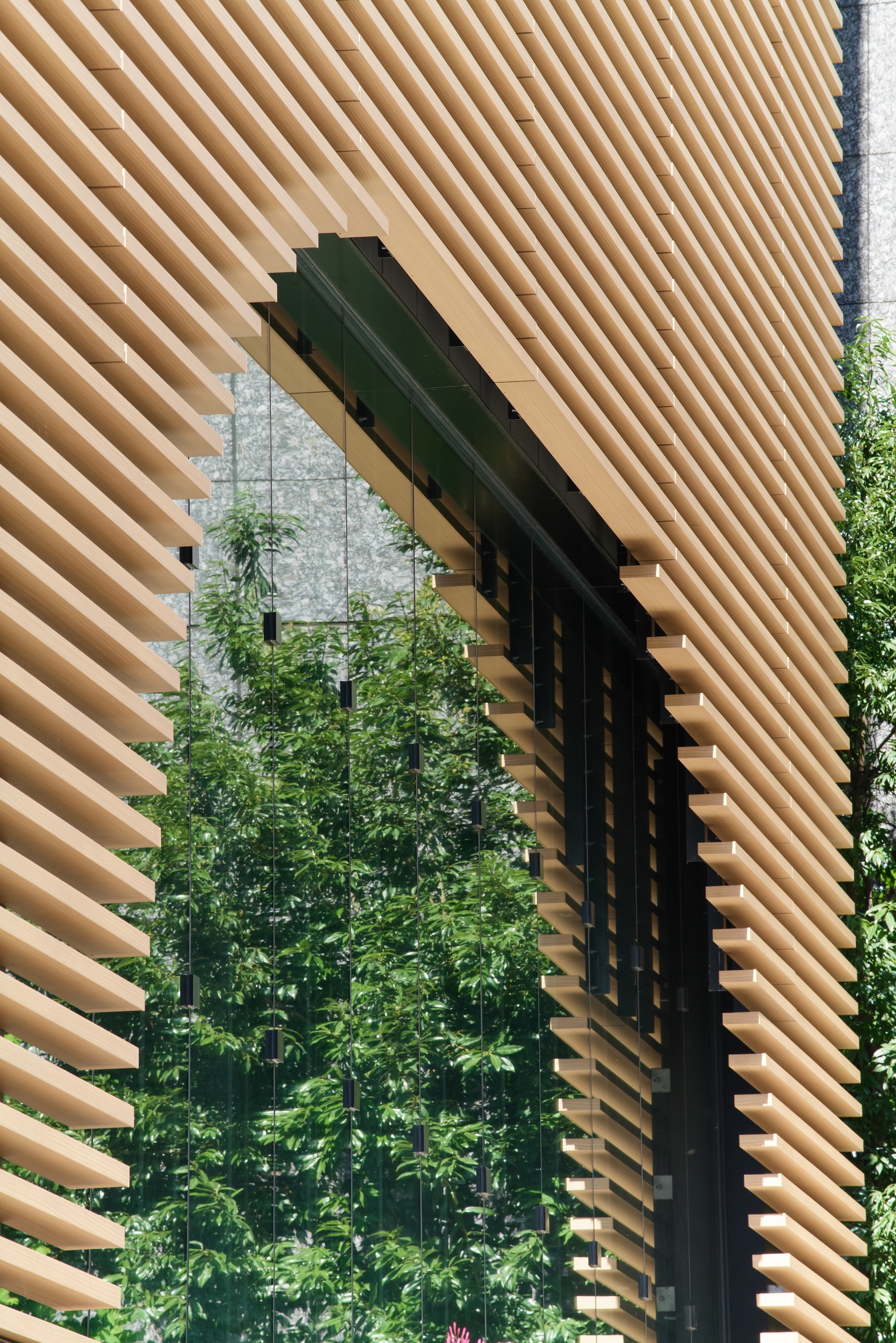 Close-up of angled timber fins framing a glazed opening that reflects green foliage in bright sun