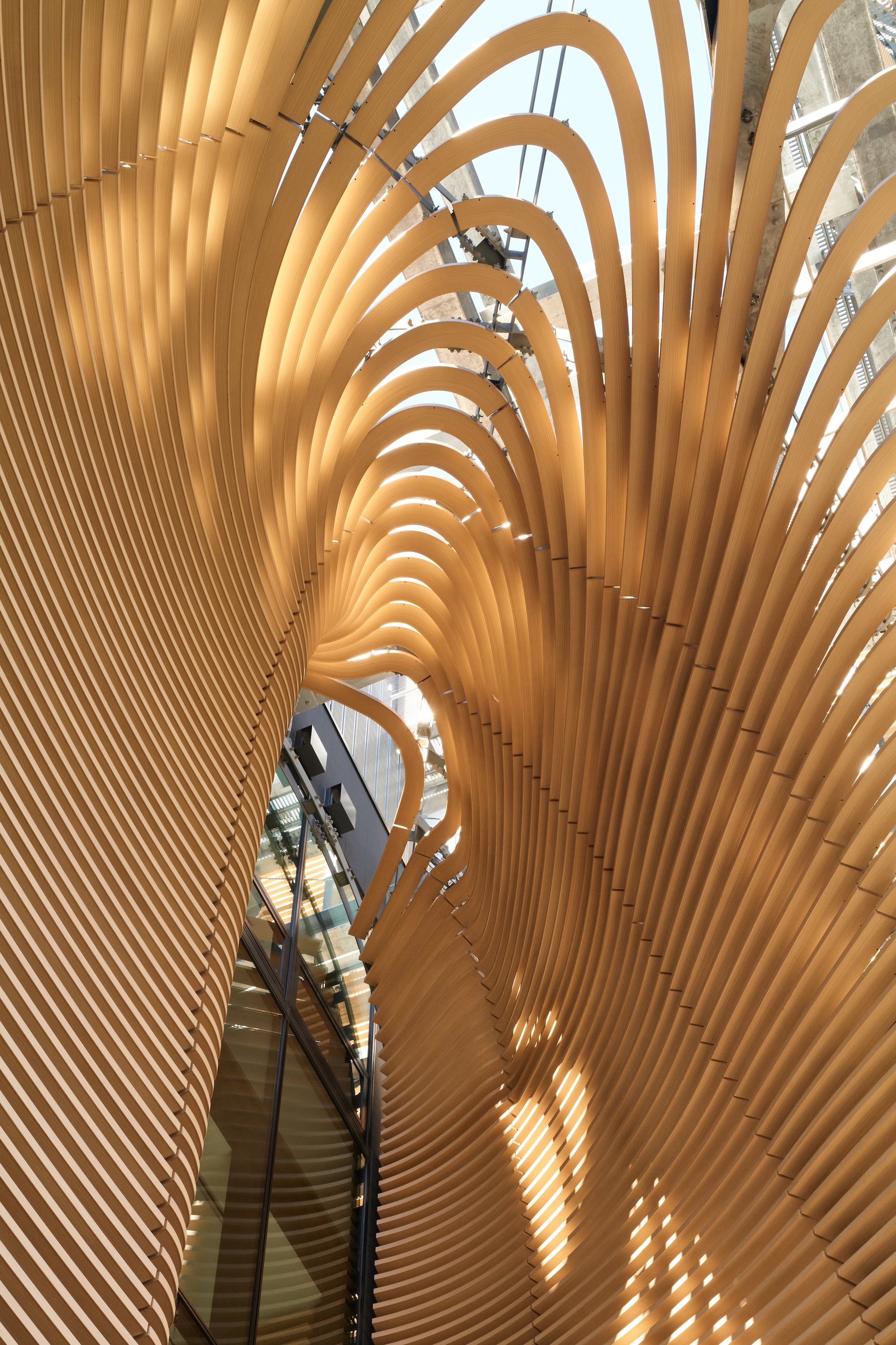 Looking up into the oval recess where curved timber slats sweep together, with sunlight casting bands across the surface