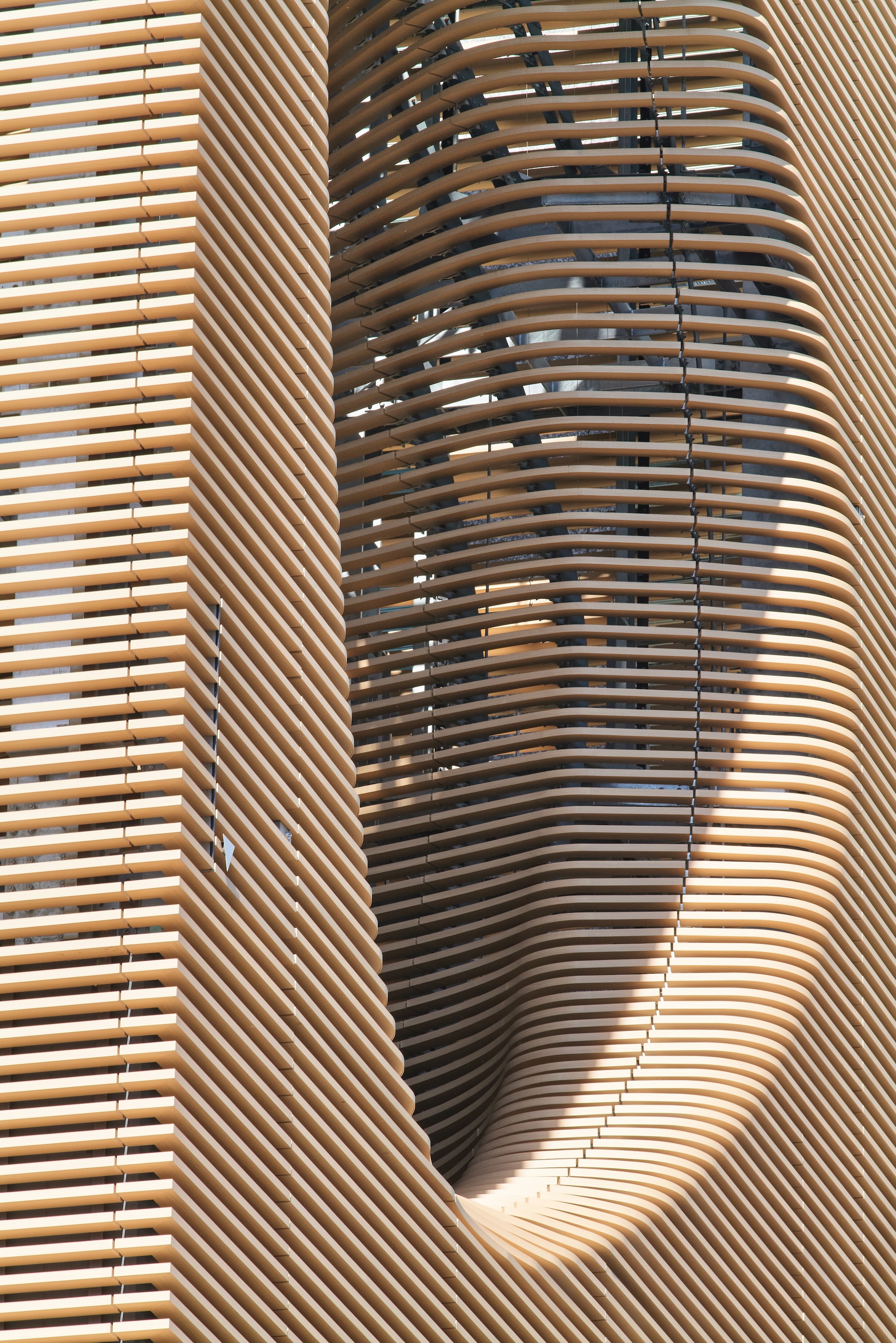 Close-up of horizontal timber slats curving into a deep oval recess on the facade, lit by hard midday sun