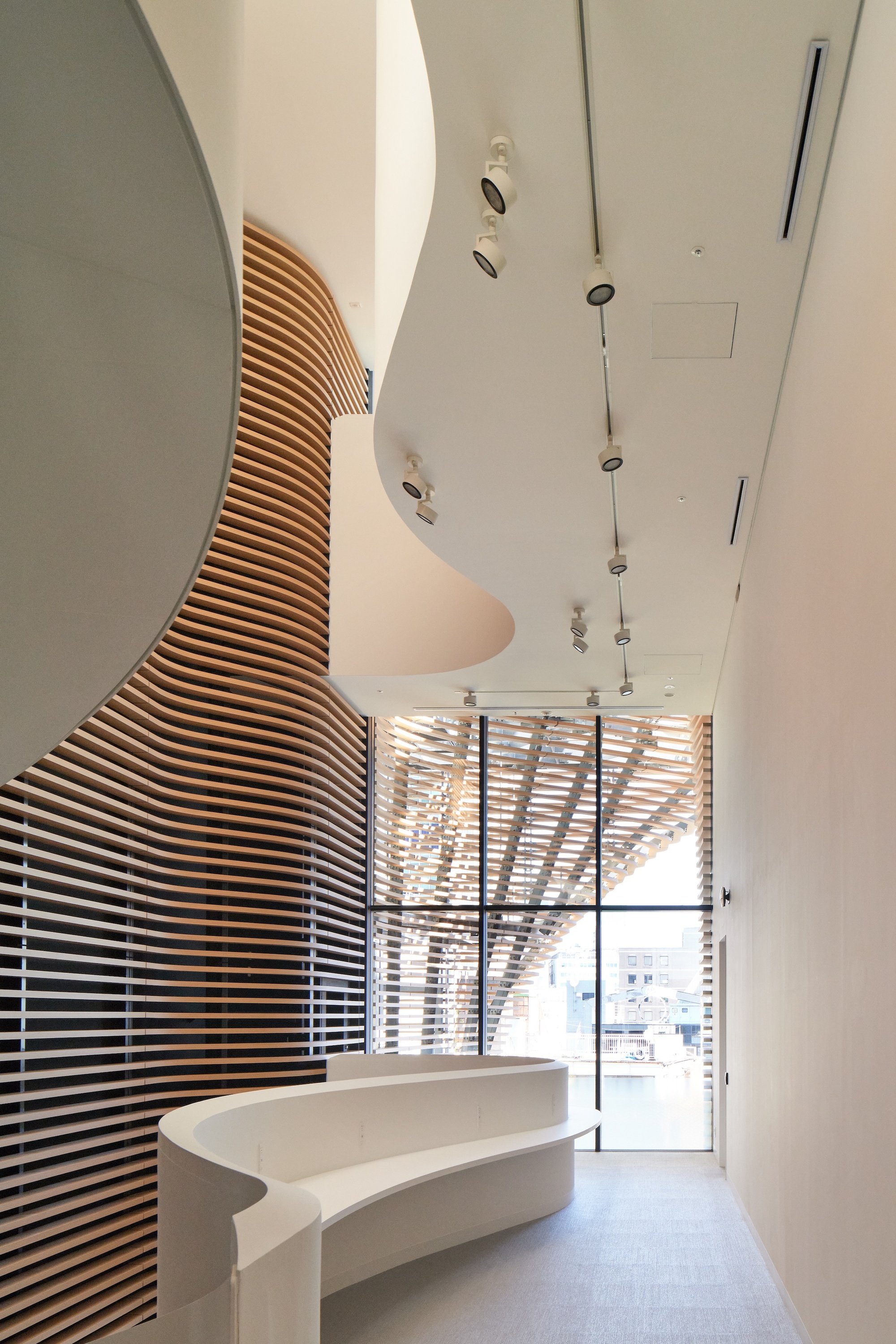 Interior gallery with a curved white bench, track lights and a sweeping slatted timber wall beside a glazed end wall