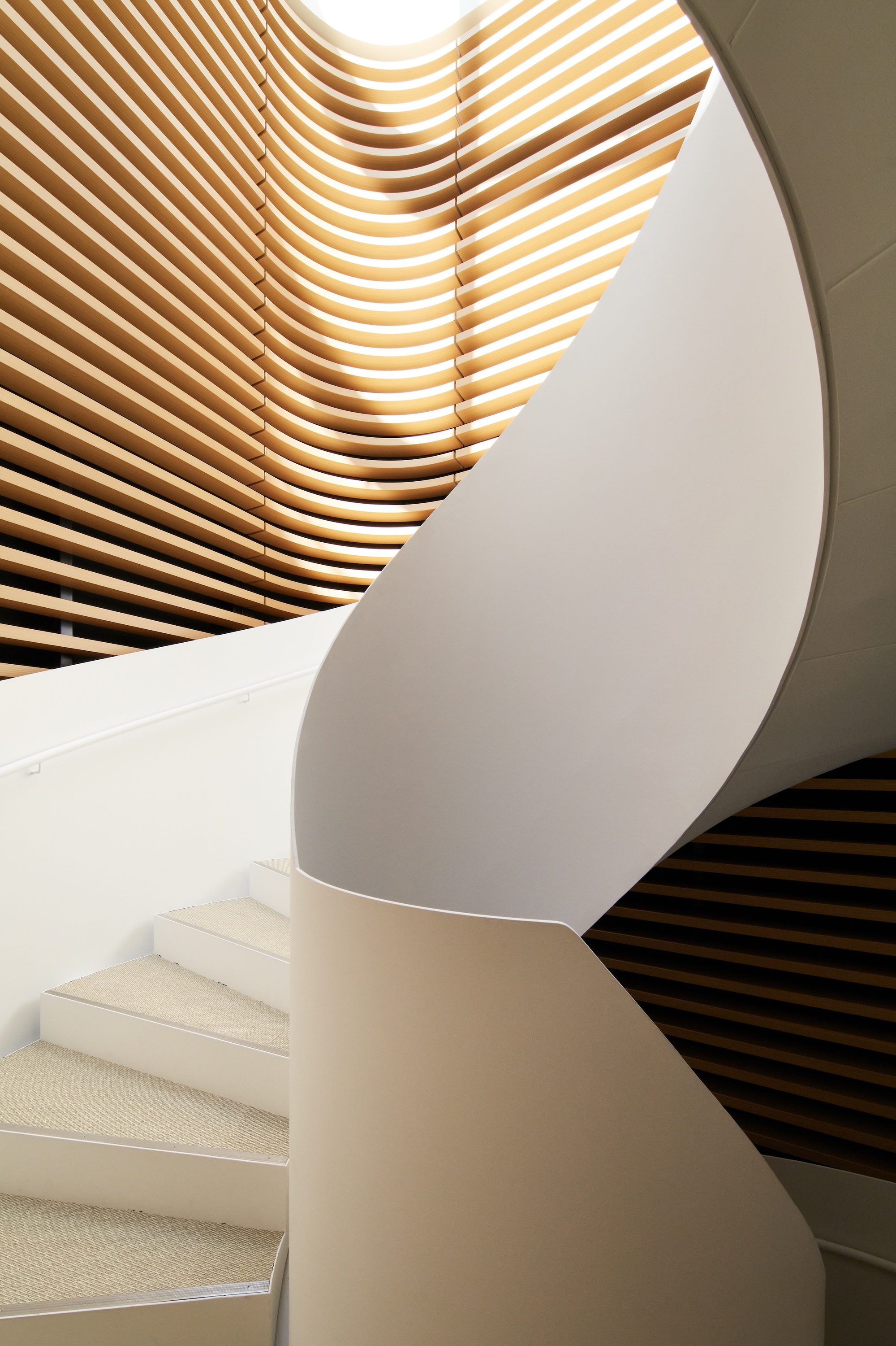 White spiral stair with carpeted treads curling past a curved wall of timber slats lit from a skylight above