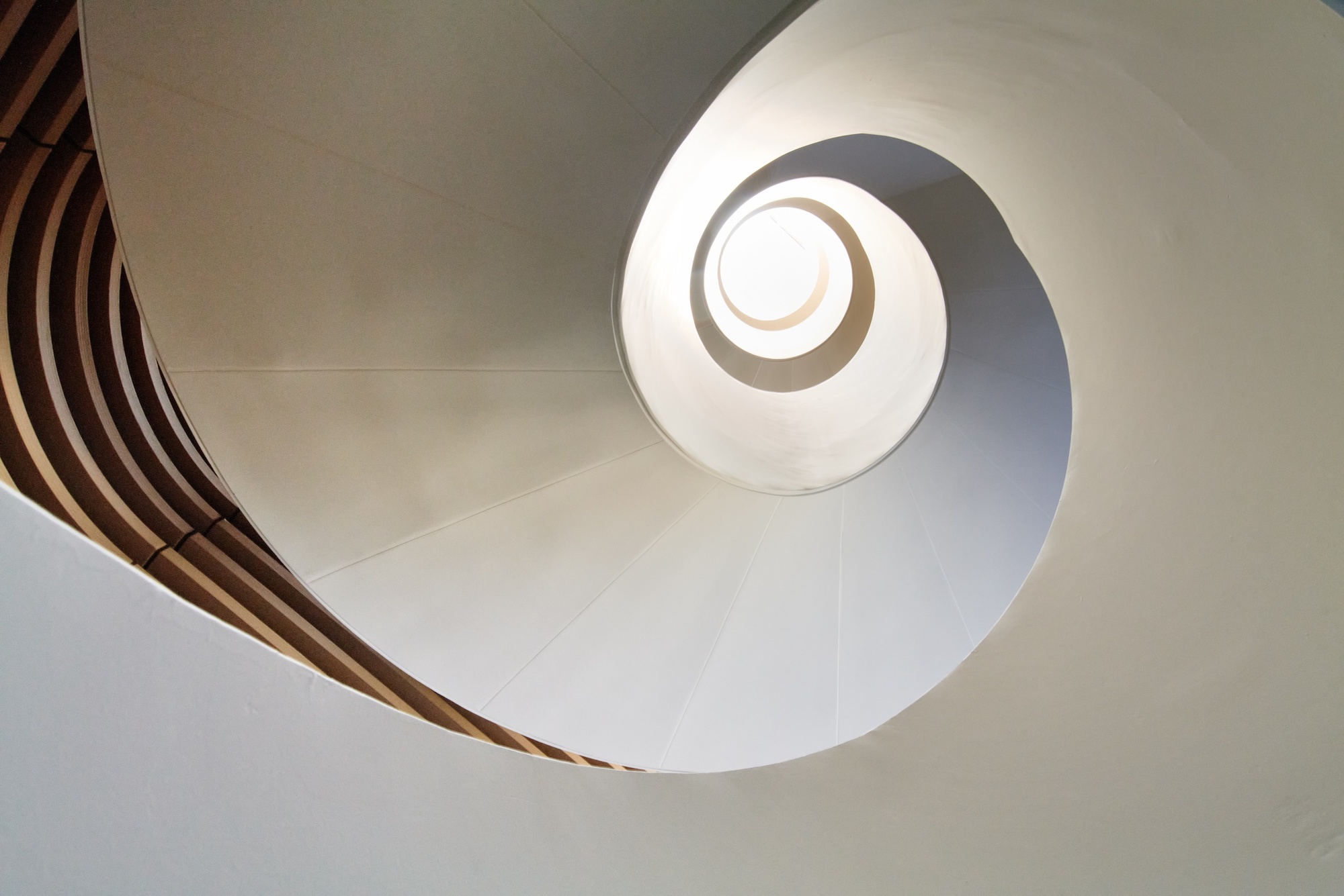Upward view into the white spiral stair soffit, with timber slats edging the frame and light at the center