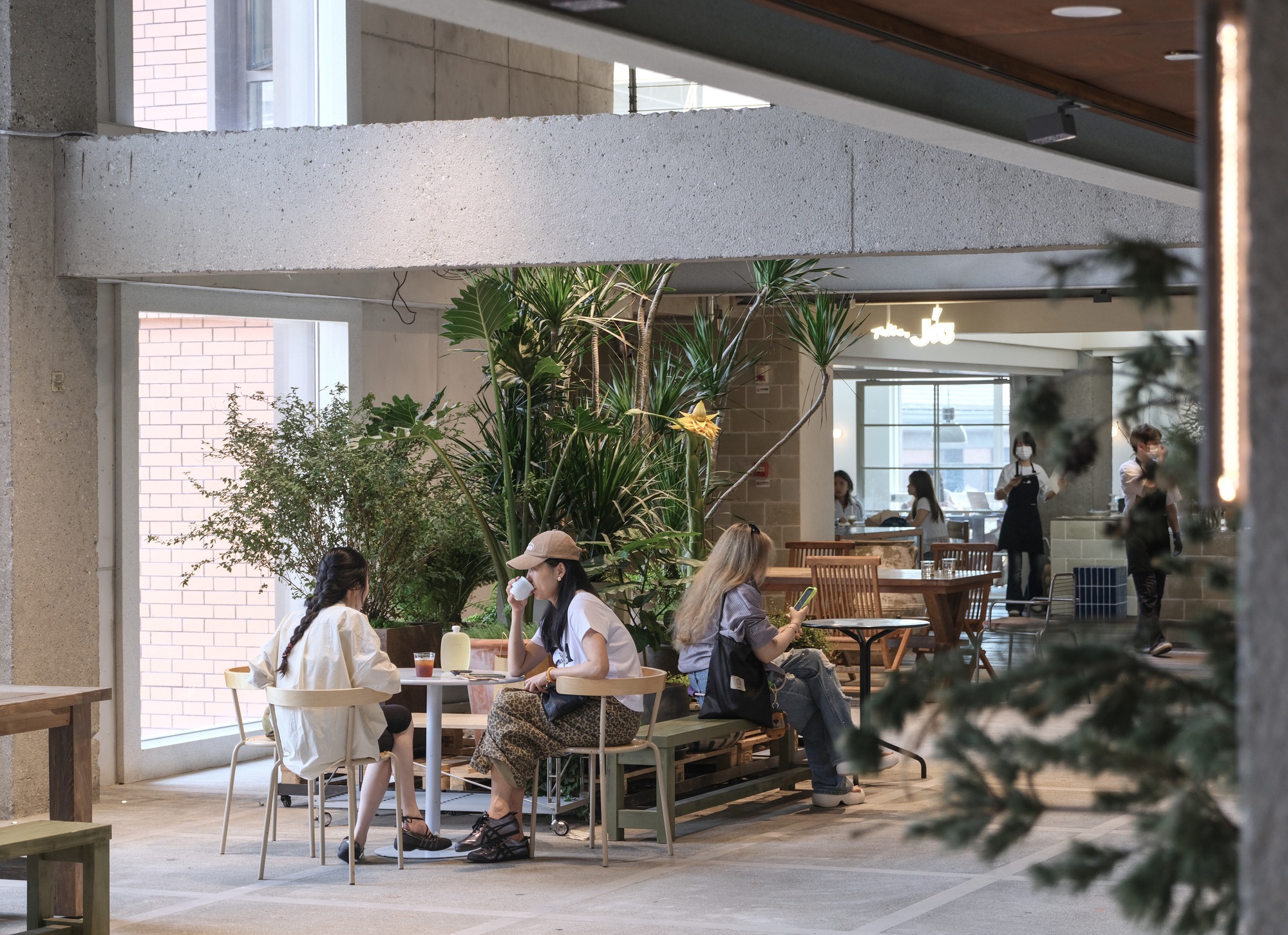 Café seating beneath a raw concrete beam, with three women at small tables beside a planting bed of tall palms