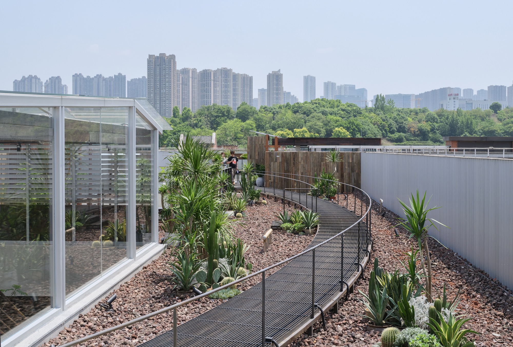 Rooftop garden path of curving steel grating through gravel beds of cacti and grasses, with a glazed pavilion and hazy towers beyond