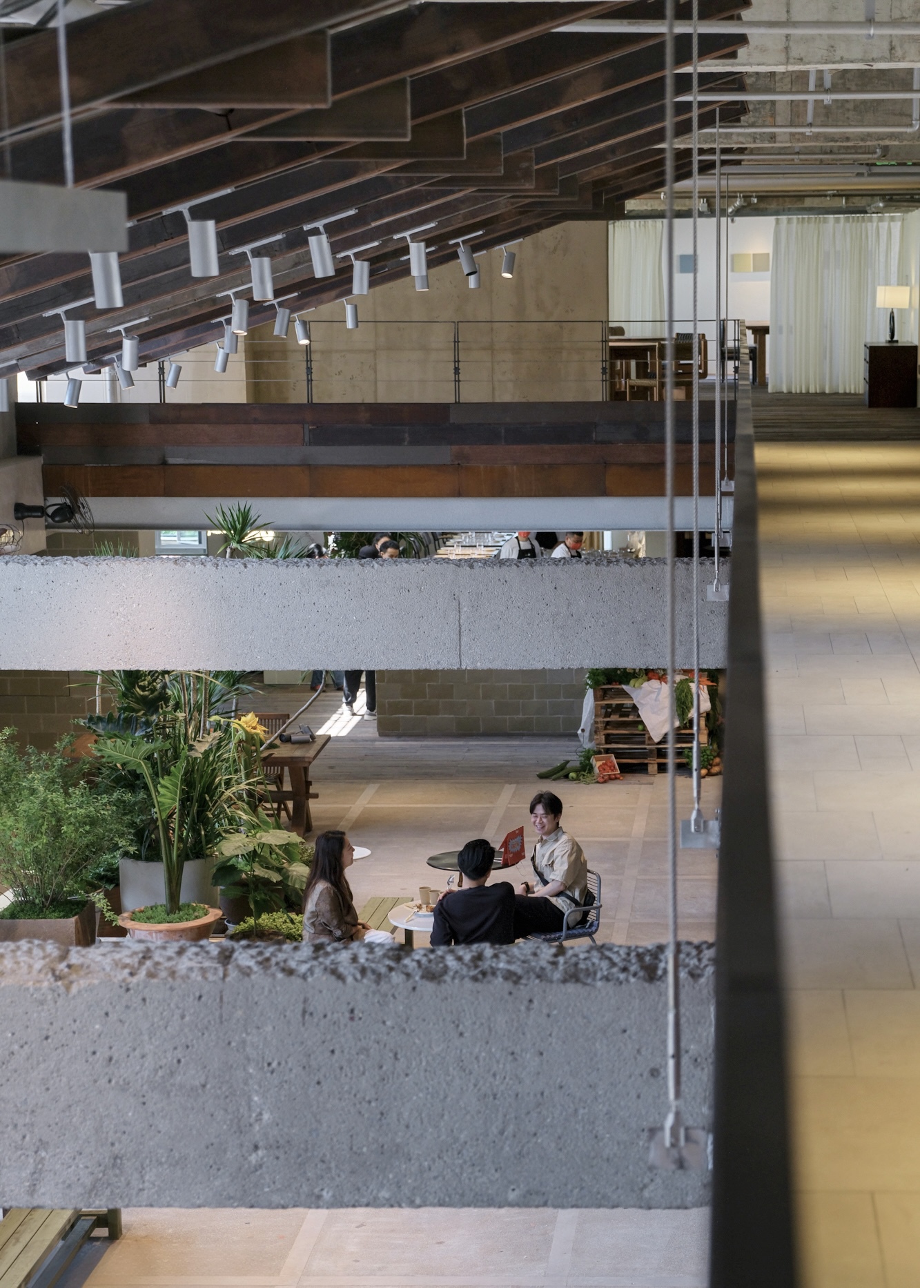 View across rough concrete balcony edges to a lower level of potted plants and a group seated at a small table