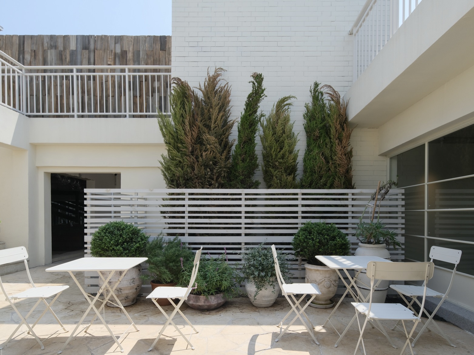 Sunlit terrace with white folding tables and chairs, potted shrubs and cypress-like trees against a white brick wall