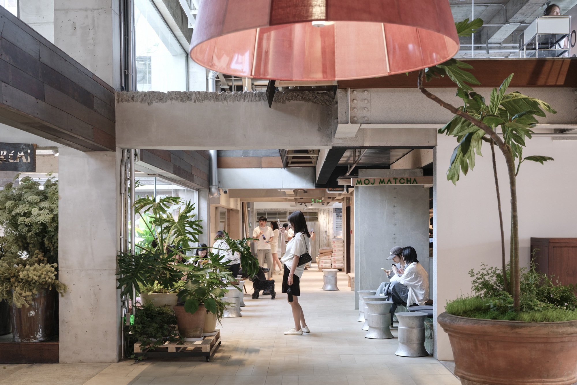 Covered concrete passage with potted plants, concrete stools, a pink pendant shade and visitors standing and sitting in daylight