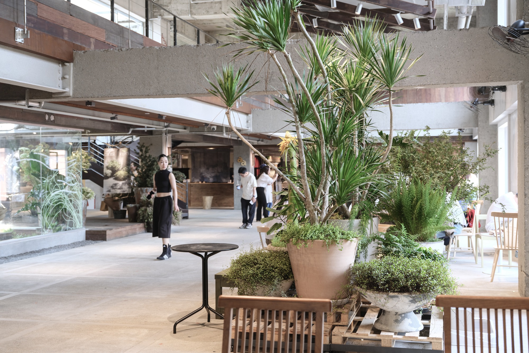 Open concrete-framed hall with potted dracaena and ferns, wooden chairs, and a woman in black standing near a glass planter