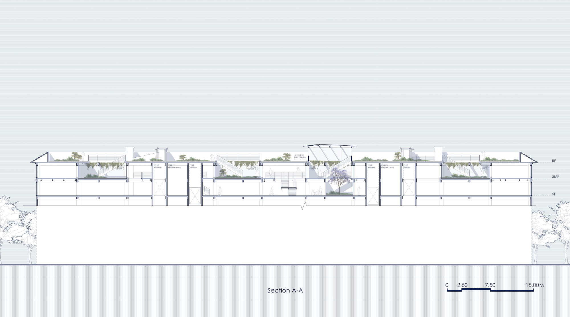 Section A-A drawing cutting through the full length of the building, with roof gardens on top and a tree in a central void