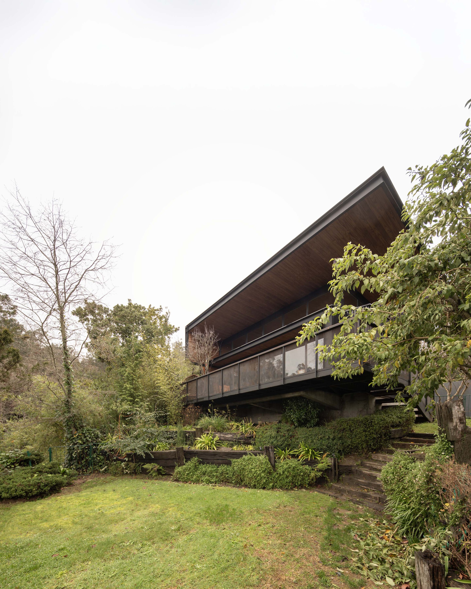 Cantilevered roof and glazed balcony rising above terraced garden beds and stone steps, framed by leafy branches on an overcast day
