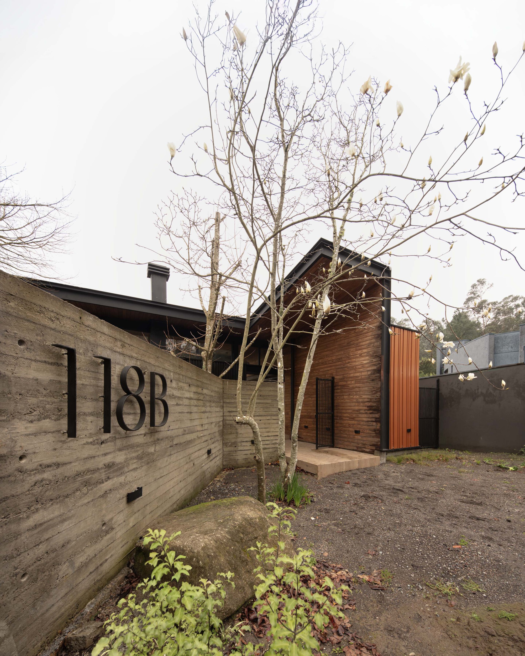 Board-formed concrete wall with black house numbers, a bare magnolia in bloom and a timber-clad entry behind, under overcast sky
