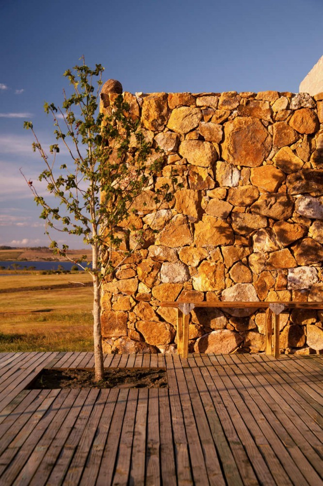 Rough-cut golden stone wall with a wooden bench and a young tree on a plank deck in low sun