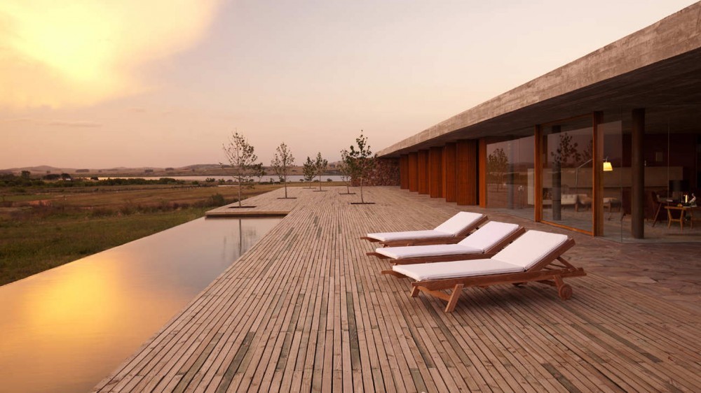 Row of white-cushioned loungers on a slatted deck beside the water, with young trees and warm dusk light