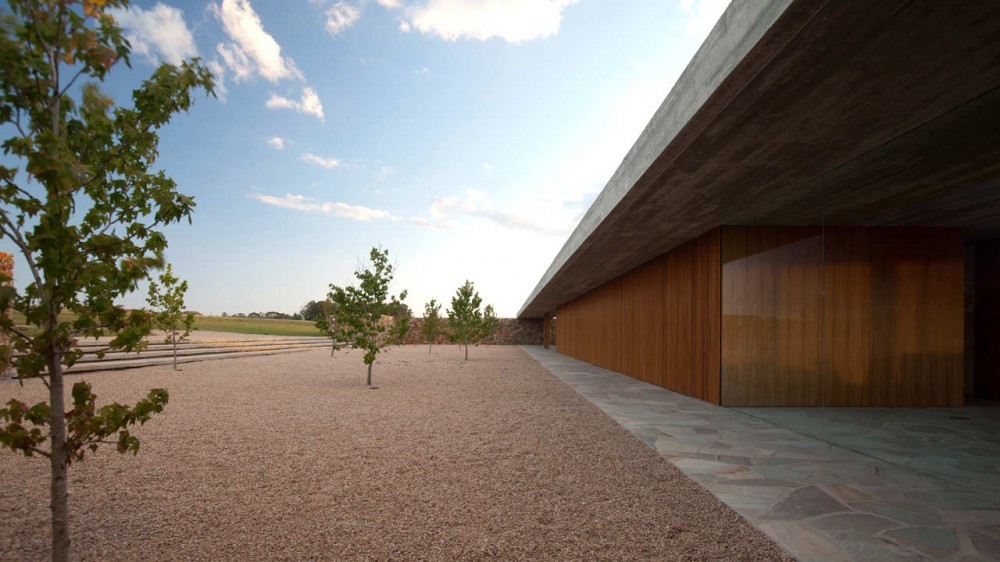 Gravel courtyard with young trees alongside a slate-paved walkway and a cedar-clad wall under a concrete overhang