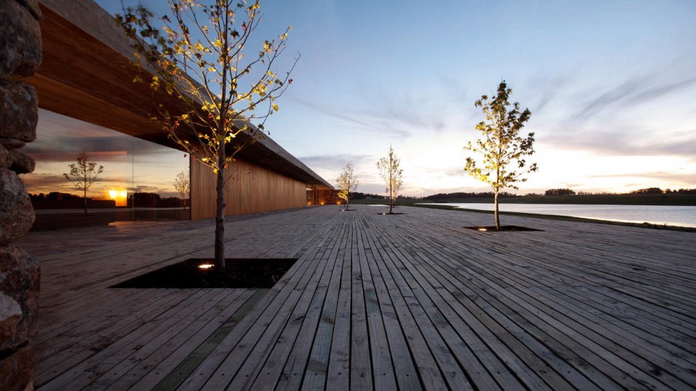 Plank deck with square tree pits and slender trees running beside the timber-clad wall in warm sunset light