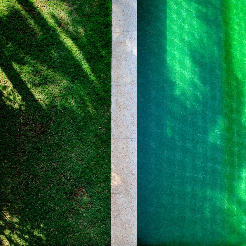 Top-down view of a lawn and green mosaic-tiled pool divided by a pale stone coping, with tree shadows falling across both