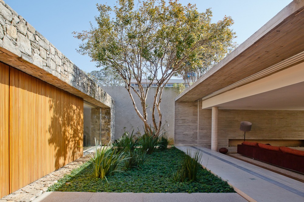 Courtyard with a slender multi-trunk tree and grasses between a stone-topped timber wall and a covered concrete porch in afternoon light