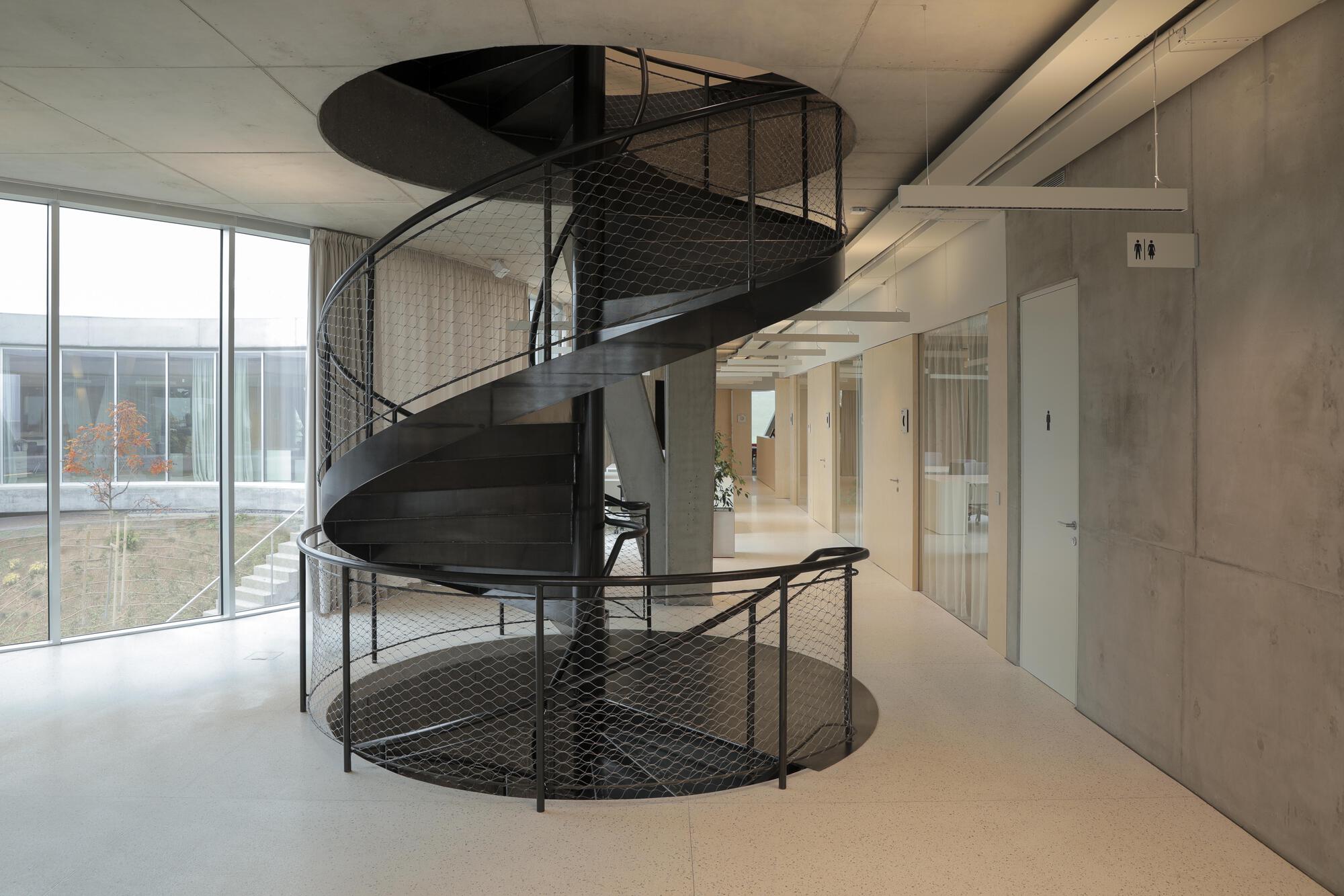 Black steel spiral staircase with mesh guard beside a concrete wall and window overlooking an autumn courtyard tree