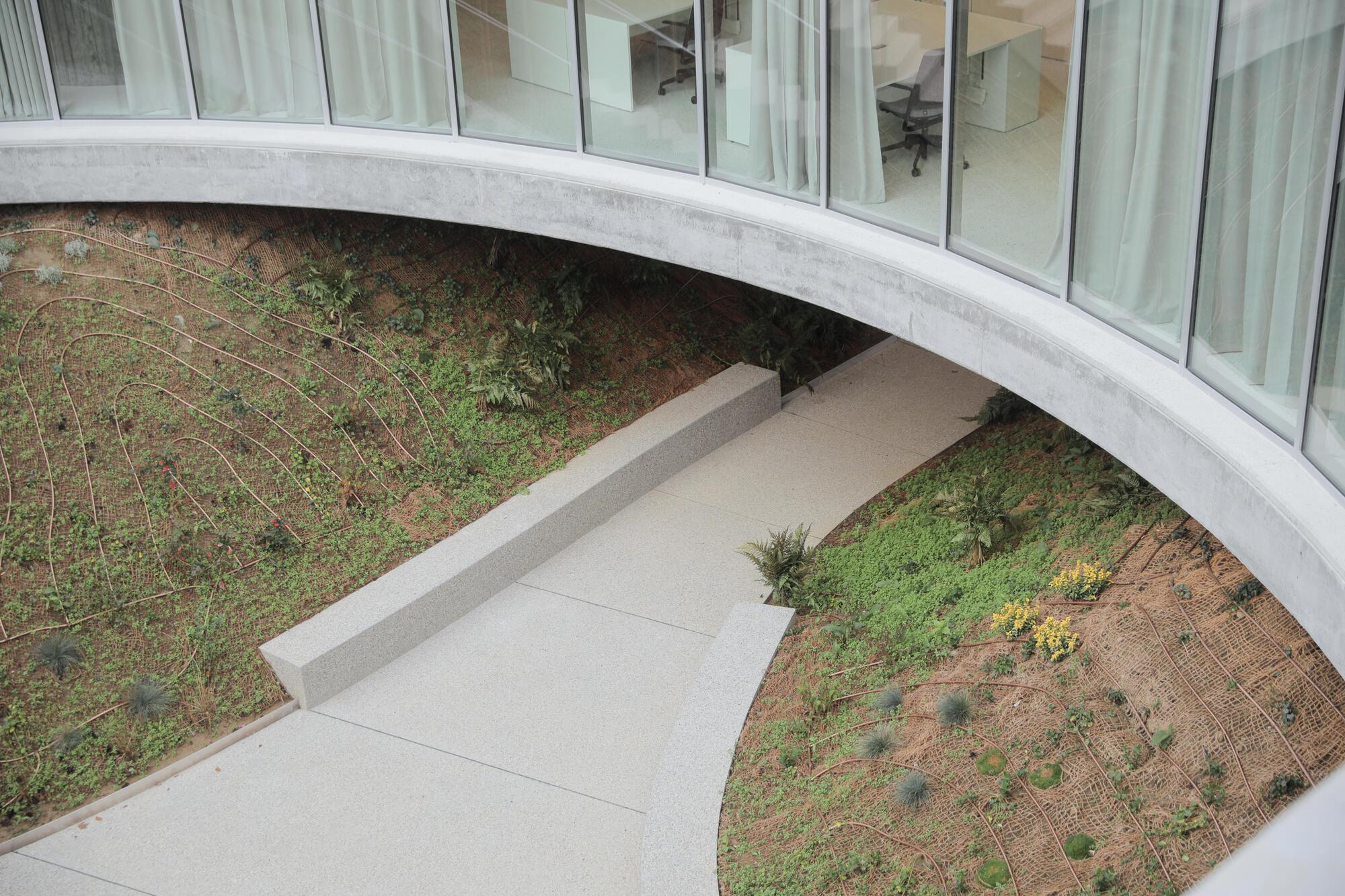 Looking down on a curving concrete walkway and bench between planted slopes below an office glass wall with drawn curtains