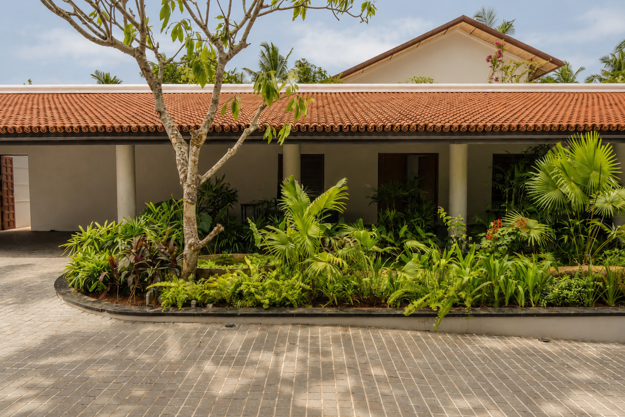 Terracotta tiled roof above a low veranda, with a curved planter of ferns and palms and dappled shade on the paved forecourt