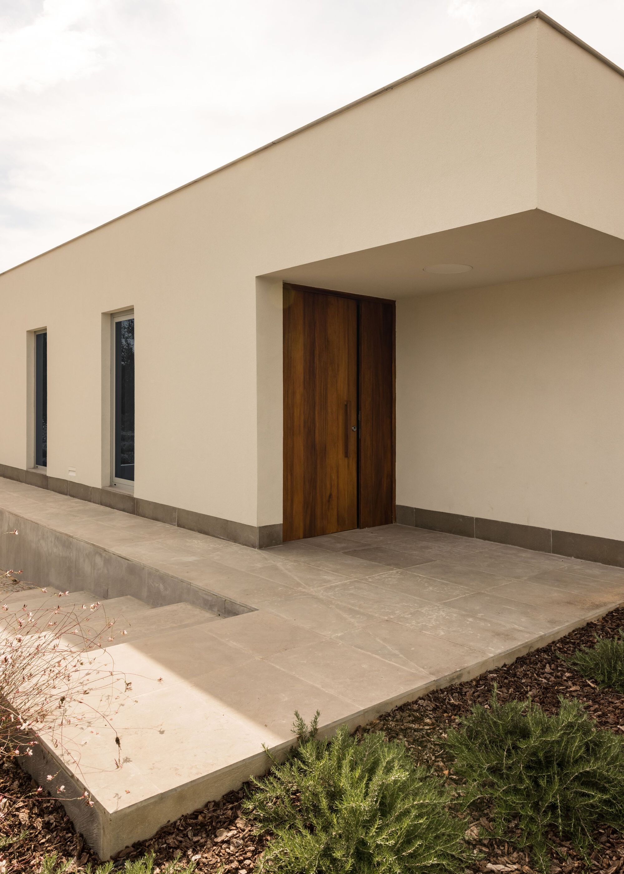 Recessed entrance with a tall timber door under a cantilevered roof, reached by stone paving and steps past rosemary and bark mulch