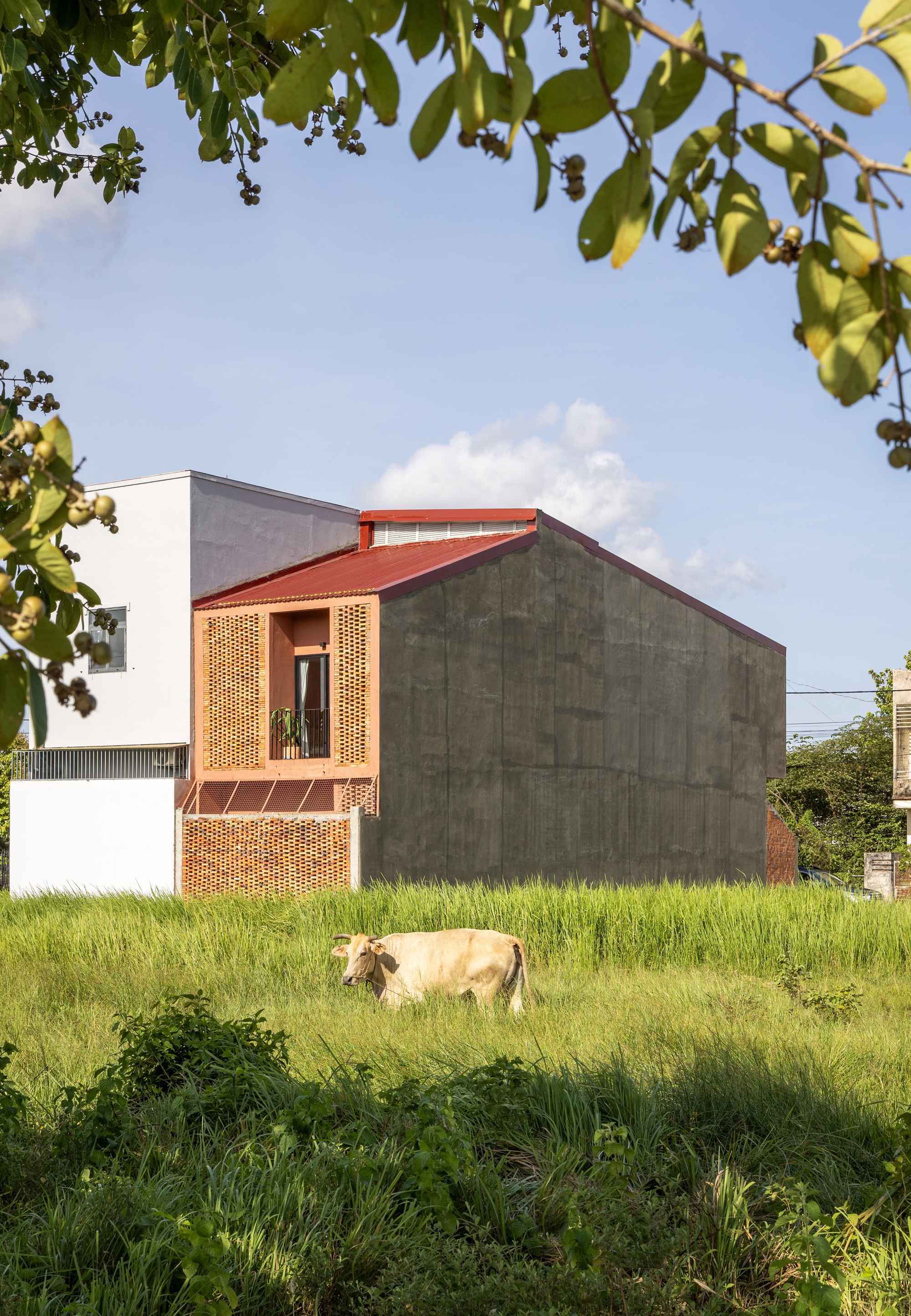 Side view of the dark concrete wall and red pitched roof beyond a grass field, with a cow grazing in front