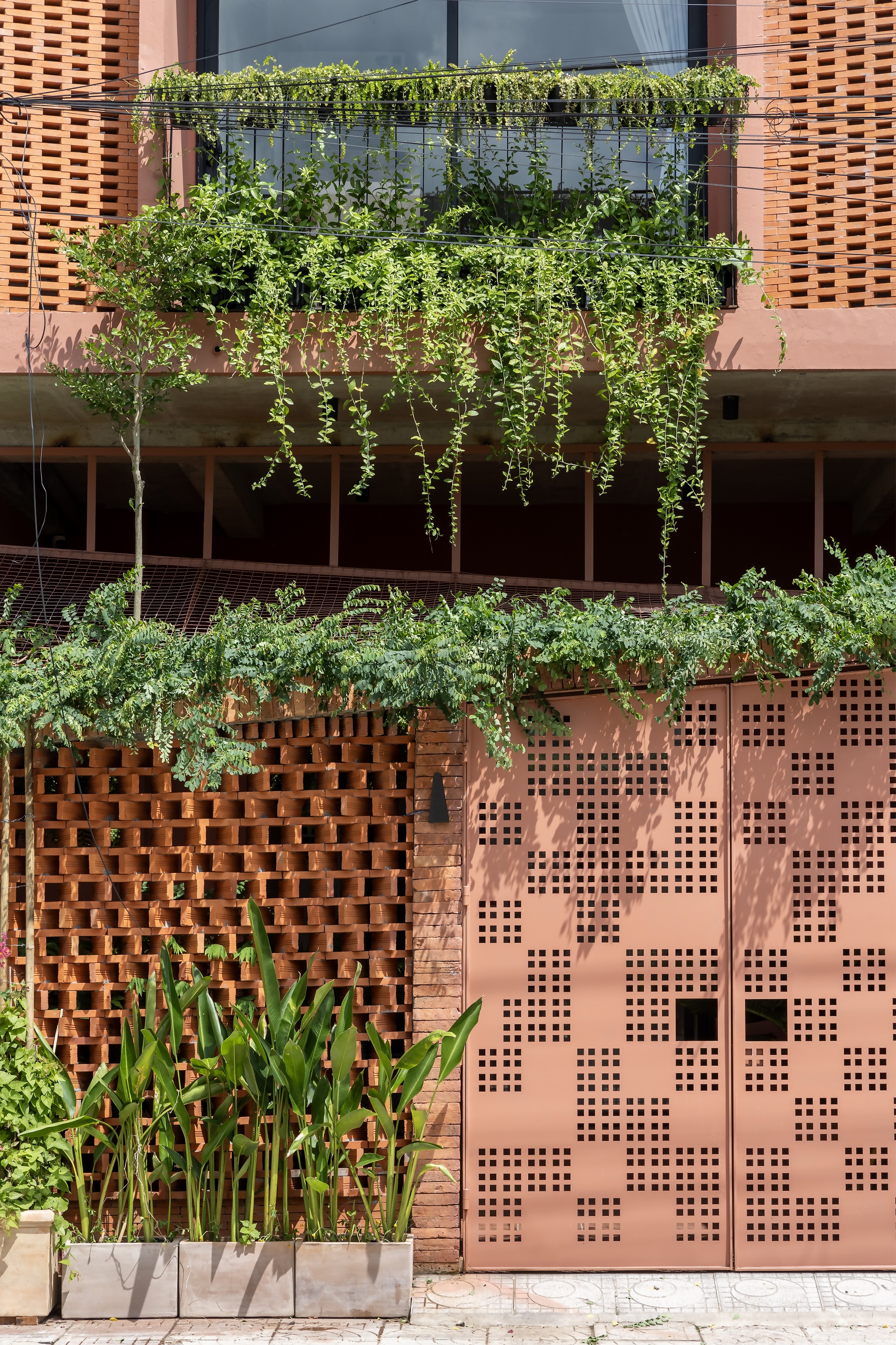 Close view of the pierced terracotta gate and brick lattice wall with hanging vines and planters of broad-leaved plants