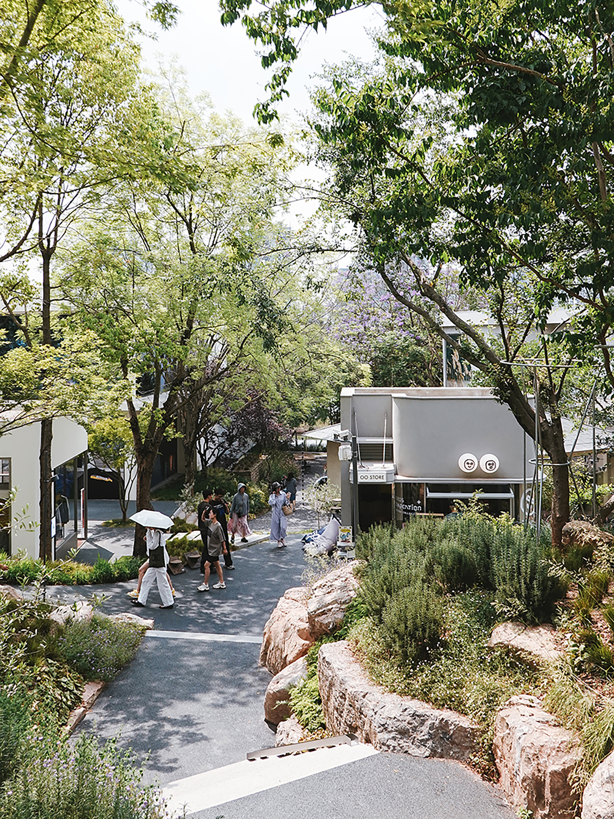 Pedestrian lane lined with rough boulders and rosemary leading to a small kiosk, with people strolling under leafy trees
