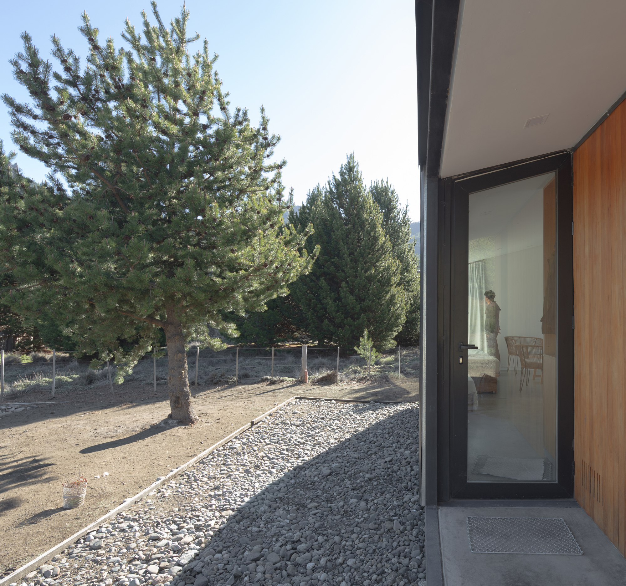 Entrance corner with a glazed door and timber cladding beside a river-pebble border, a pine casting shade in afternoon sun
