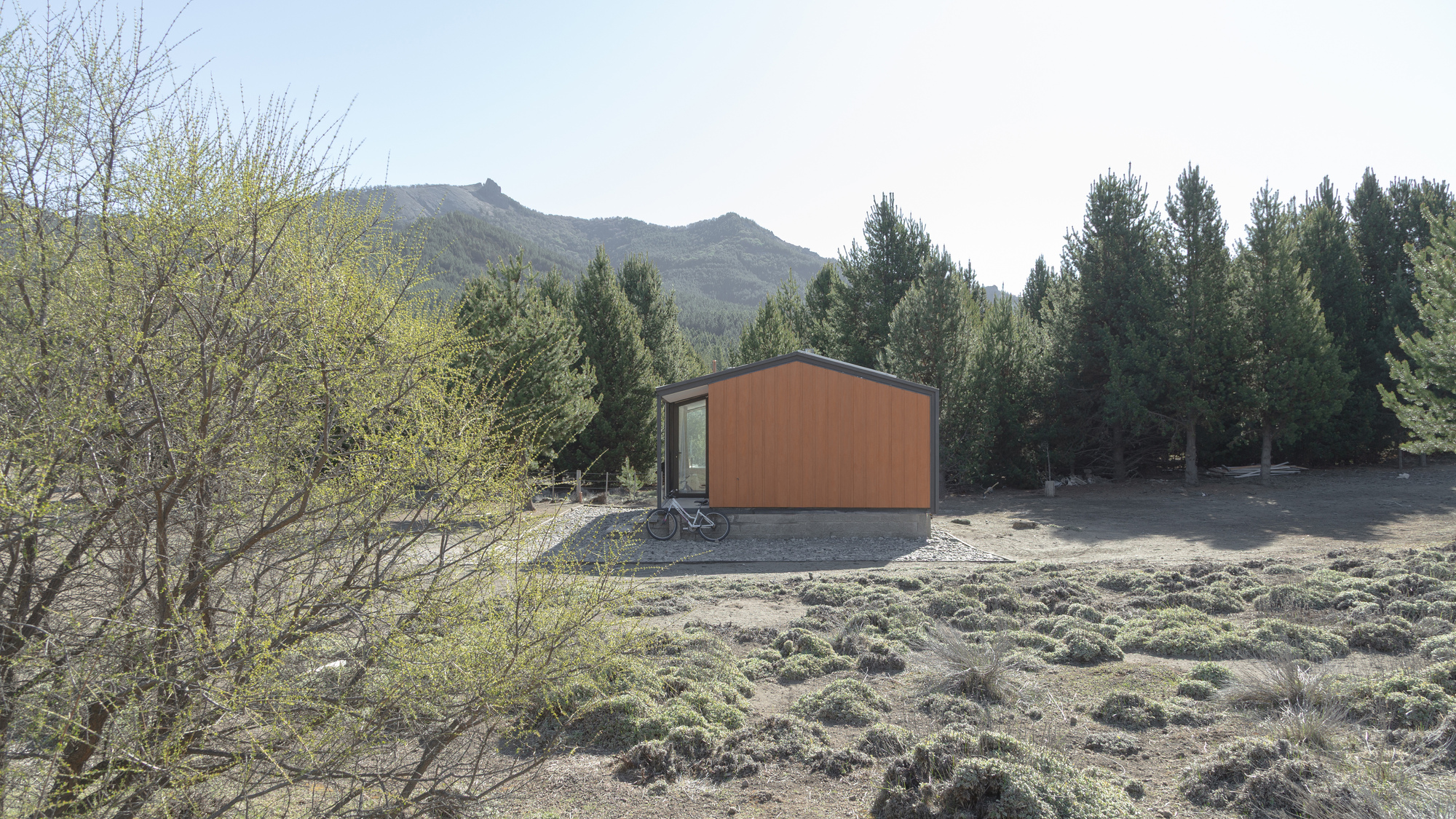 Side view of the orange timber-clad gable end with a bicycle leaning against it, beside a budding shrub in spring light