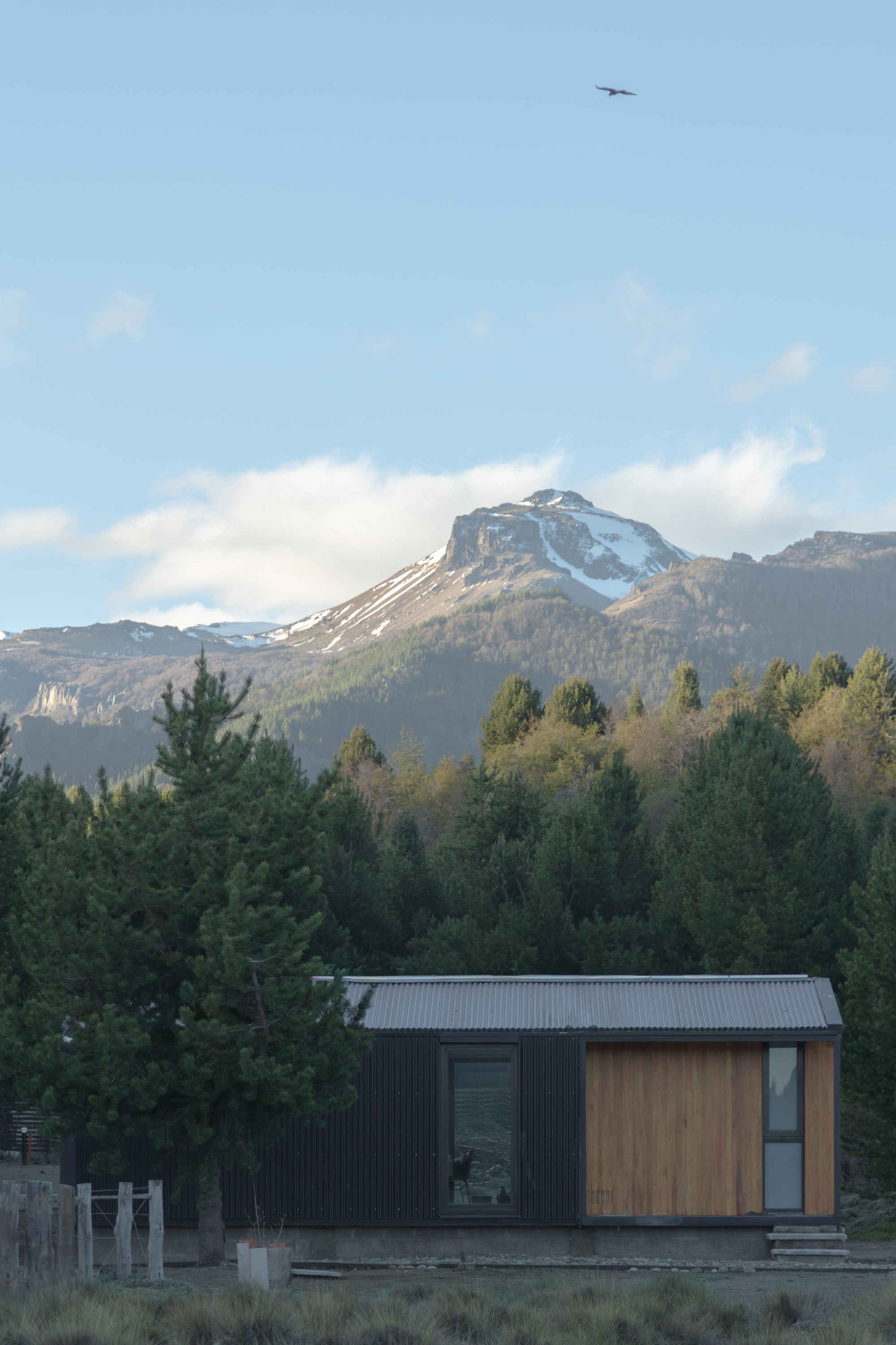 Dark vertical-clad cabin with a timber panel end and corrugated roof below a snowcapped peak, a bird soaring overhead