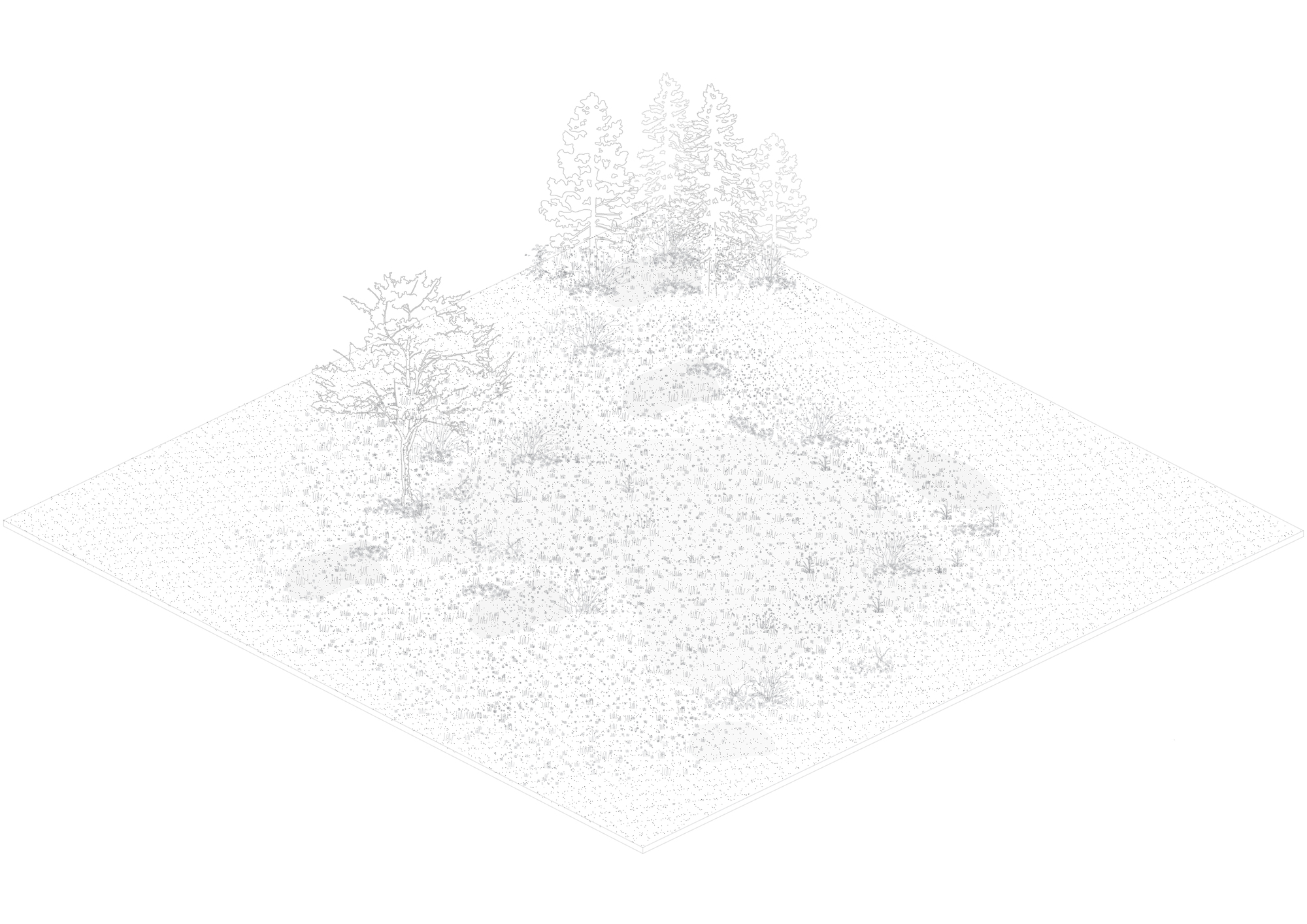 Isometric drawing of the bare site showing a grassy ground plane, a leafy tree and a cluster of pines