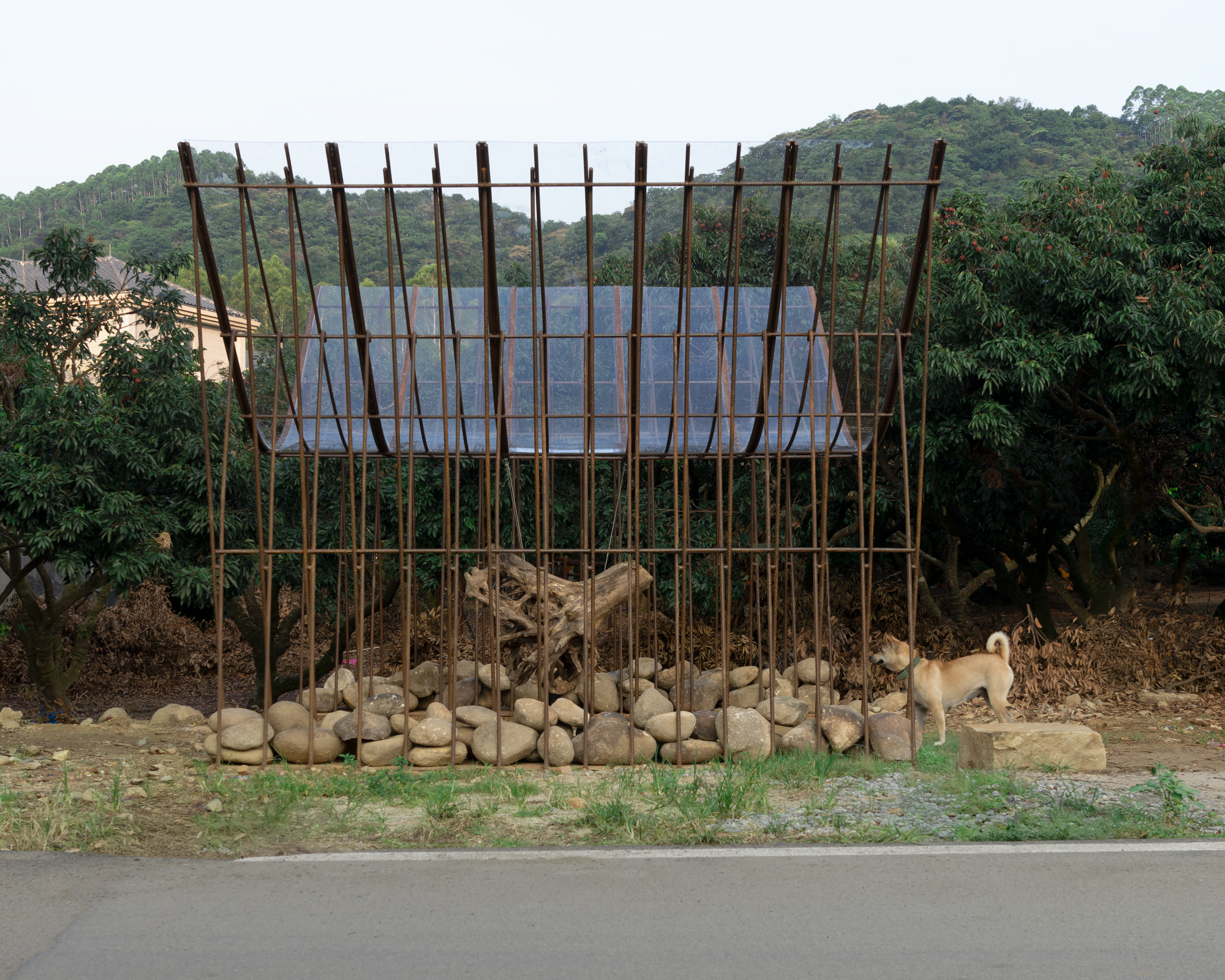 Front view of the rod-framed pavilion with translucent roof and stone base, a tan dog standing beside it near a roadside orchard