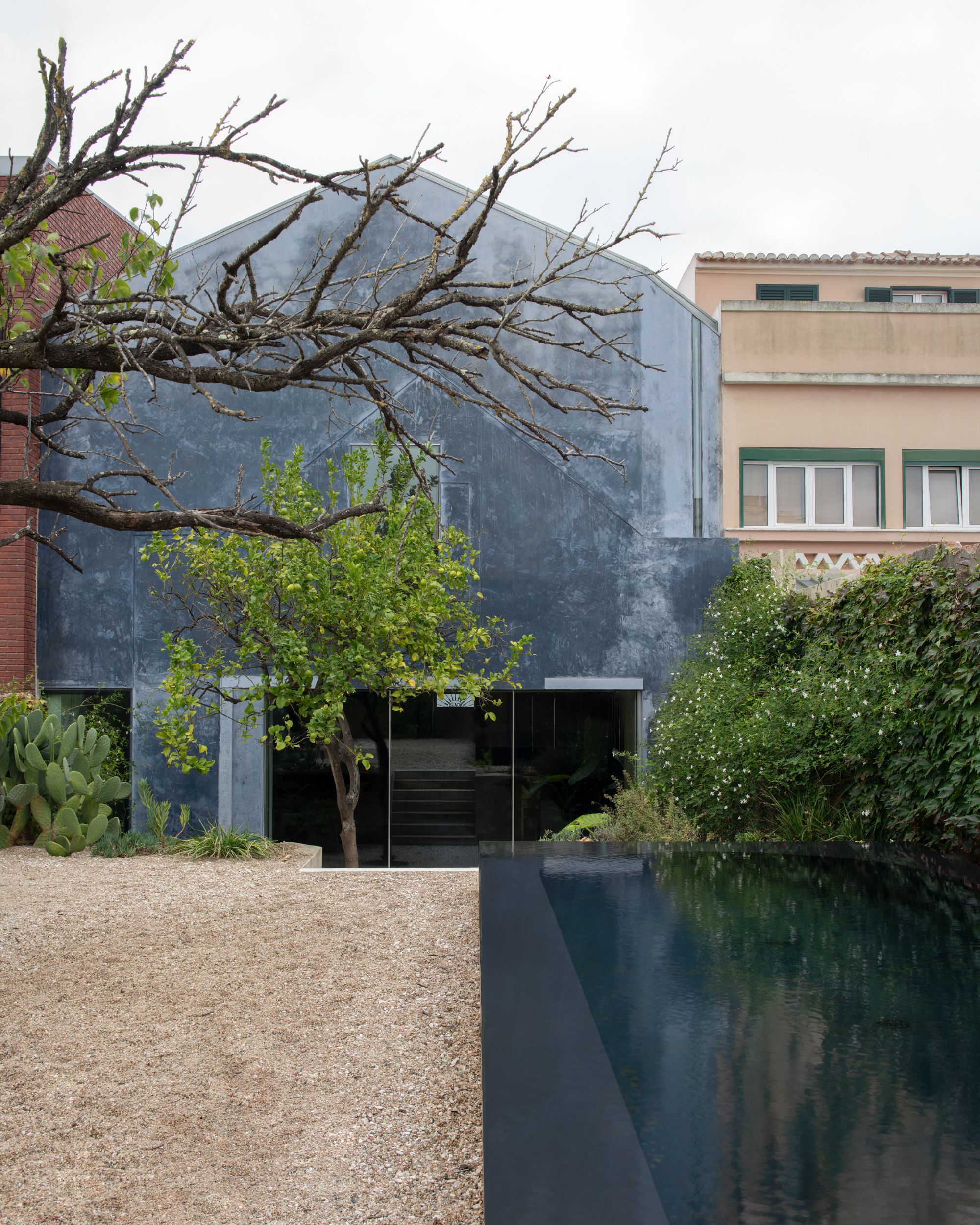 Rear garden elevation of the gabled house seen past a bare branch, lemon tree and black-edged pool on a grey day
