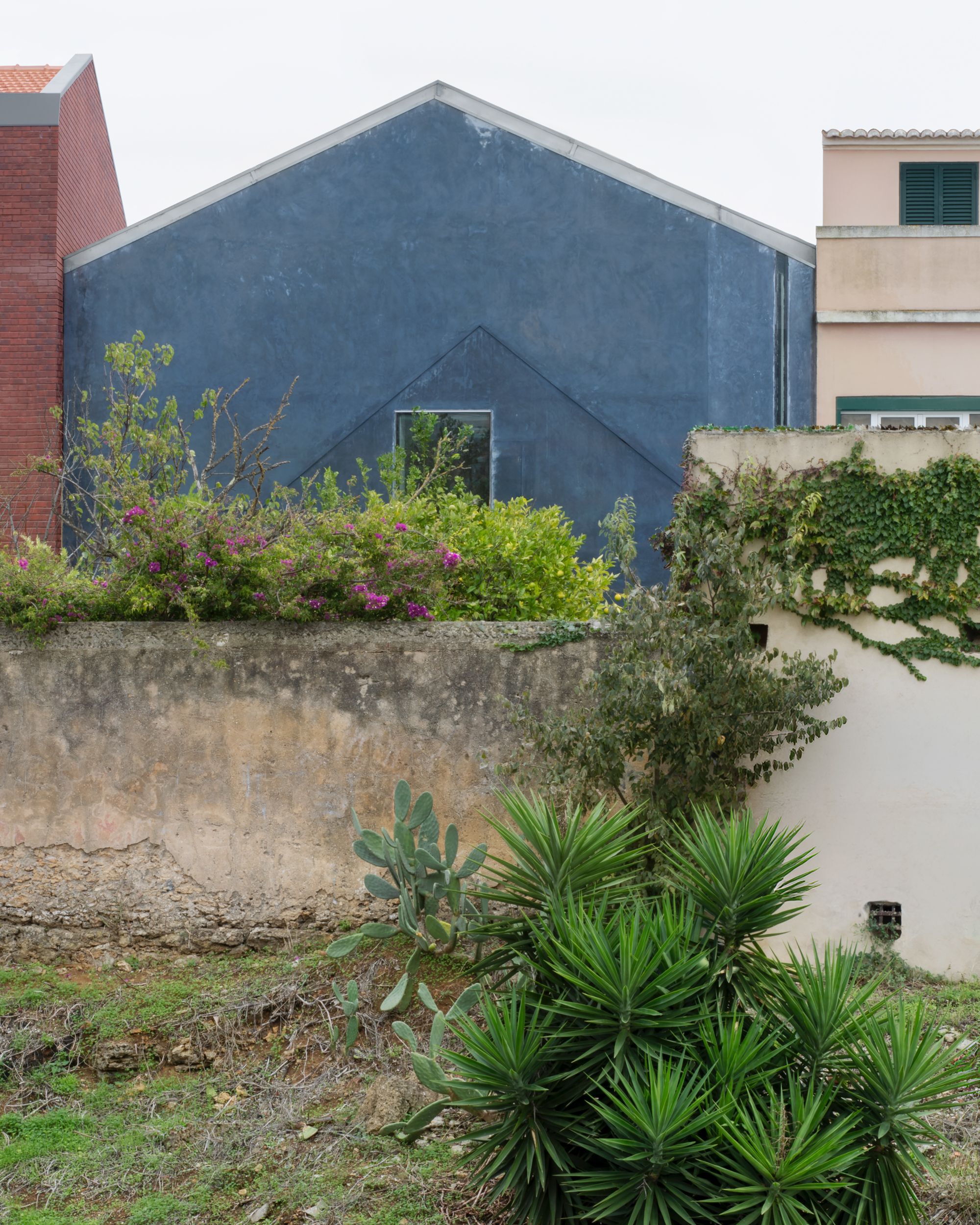 Gabled blue-grey plaster facade with a triangular window recess rising behind a weathered garden wall, flowering shrubs and spiky yucca plants