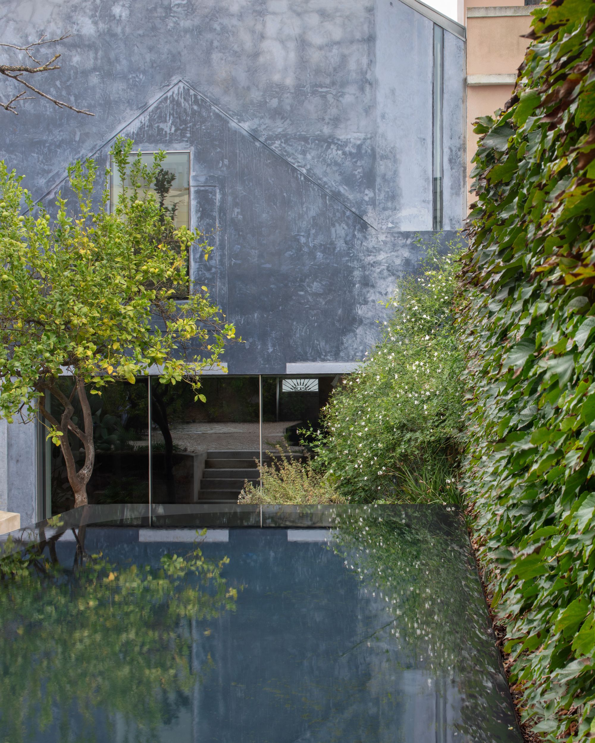 Gabled grey facade with a glazed ground floor seen across a still reflecting pool, with a citrus tree and ivy-covered wall alongside