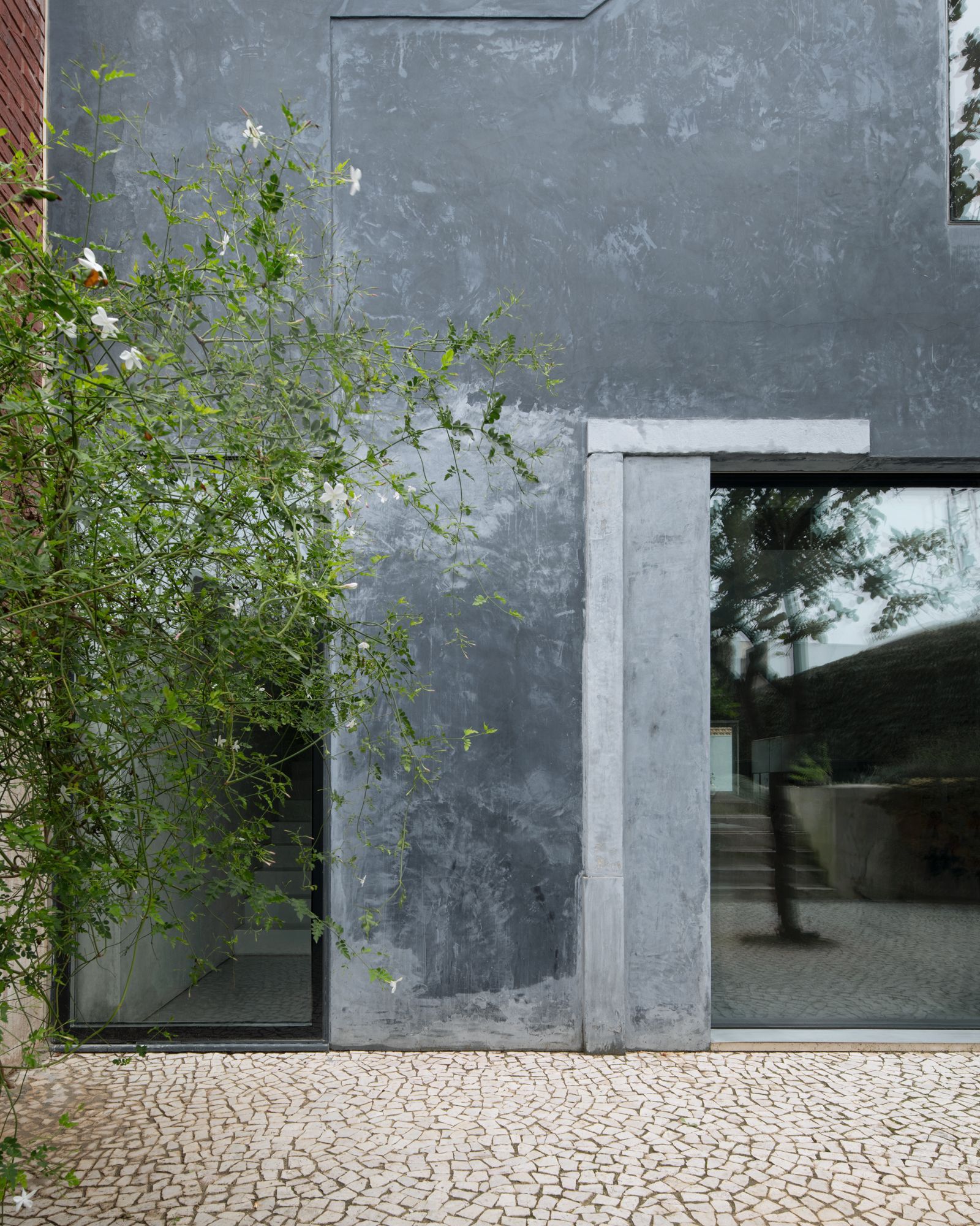 Rough grey plaster wall with a concrete-framed glass opening above a cobbled stone pavement, with a flowering climber in the foreground